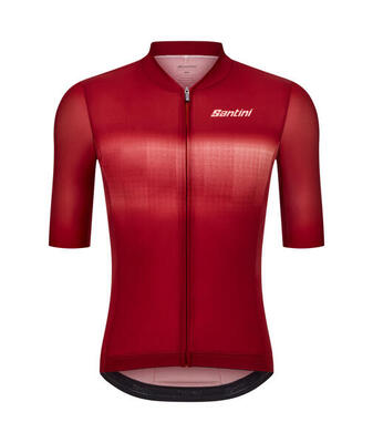 Mist - heren shirt met korte mouwen - tabak - wielersport