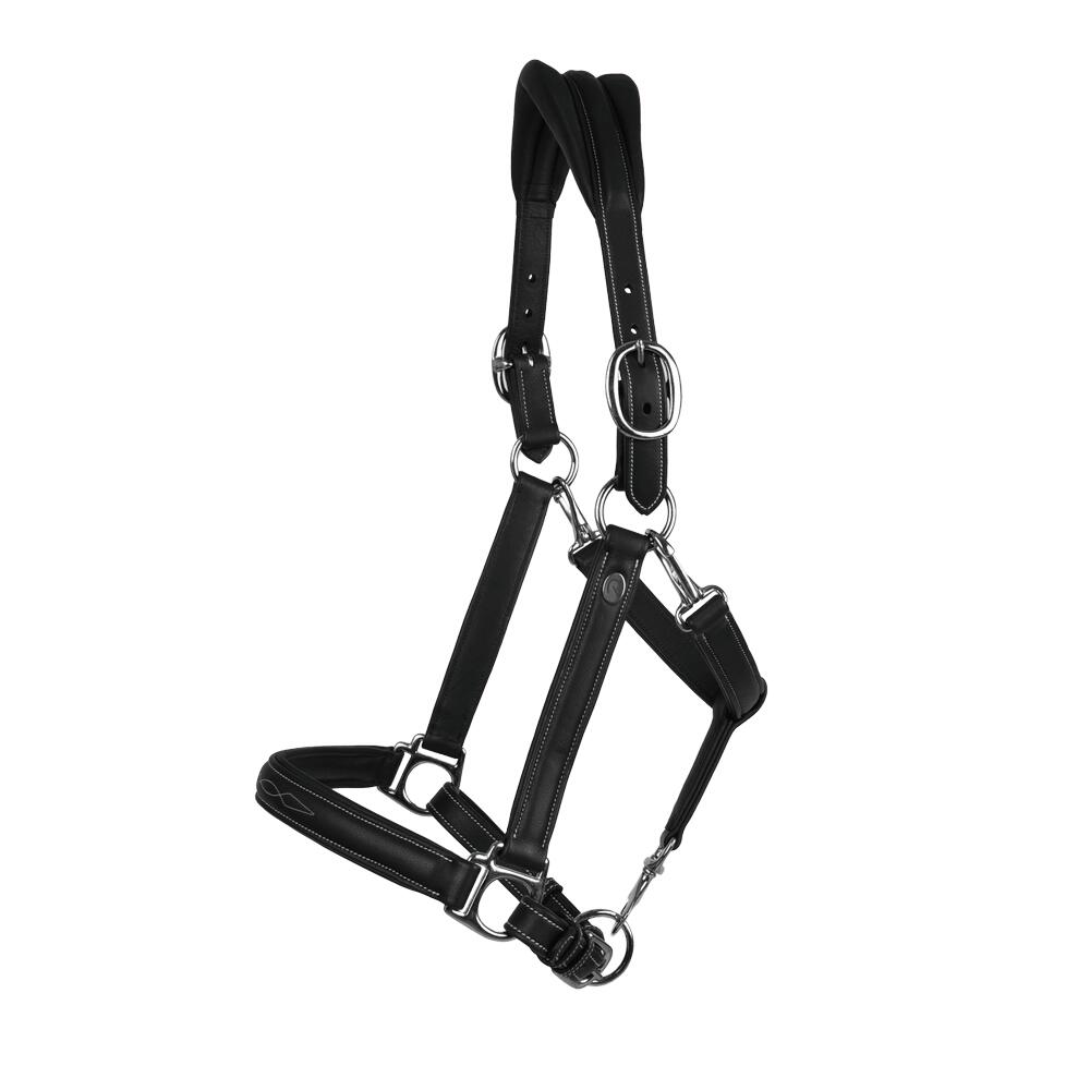 Licol pour cheval en cuir extra souple Dy'on 3/3