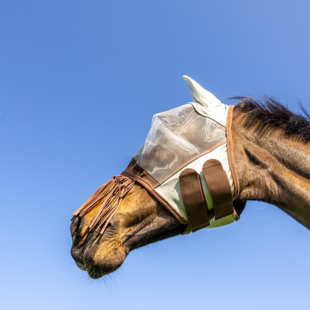 Maschera antimosche per cavalli classica con orecchie e frangia nasale Kentucky 3/3