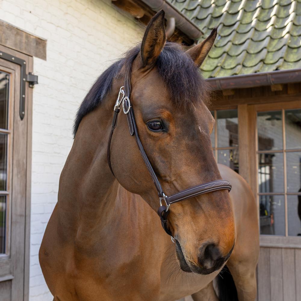 Cabestro de limpieza Dy'on 3/5