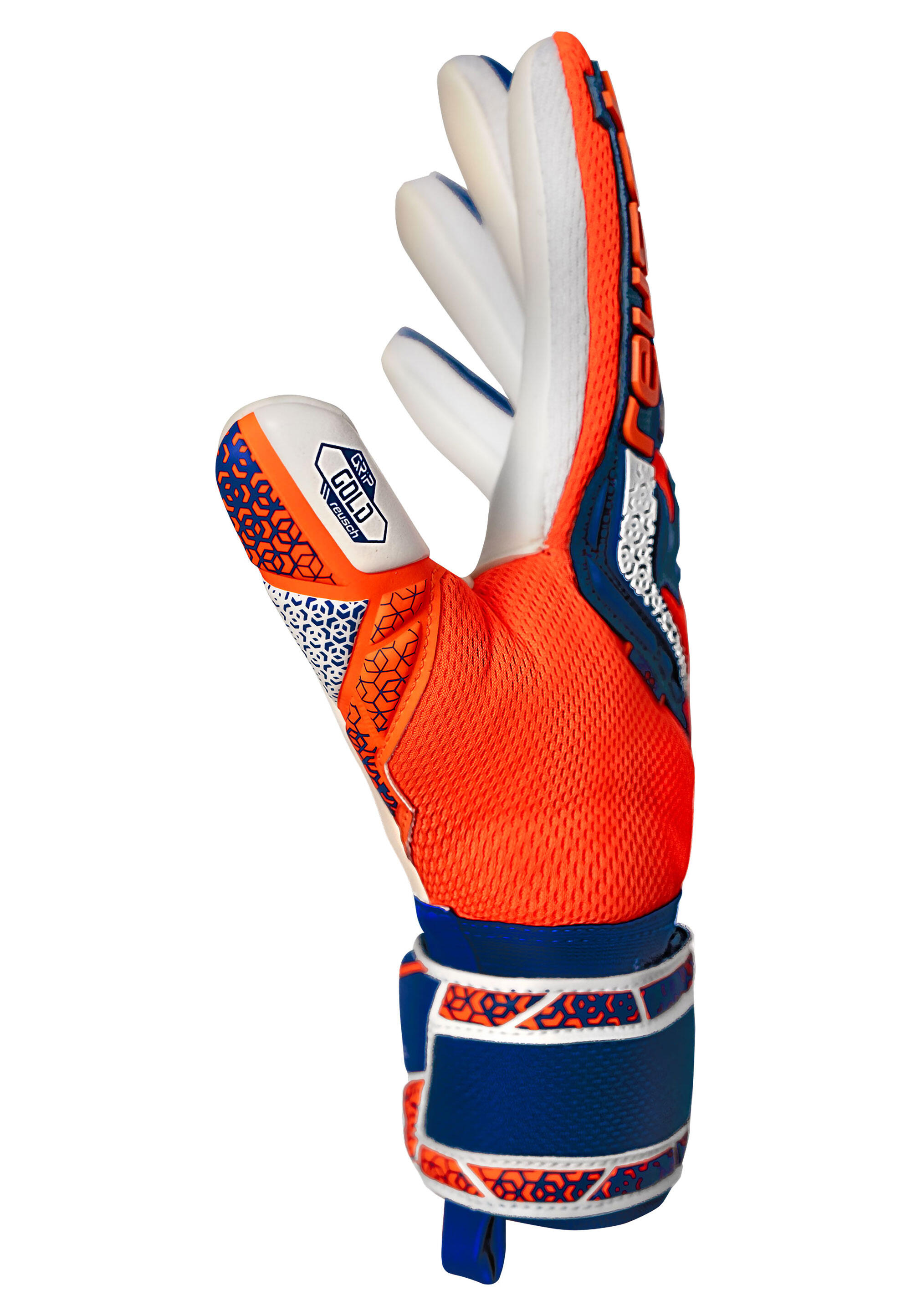 Gants de gardien de but Attrakt Freegel Gold NC 5/5