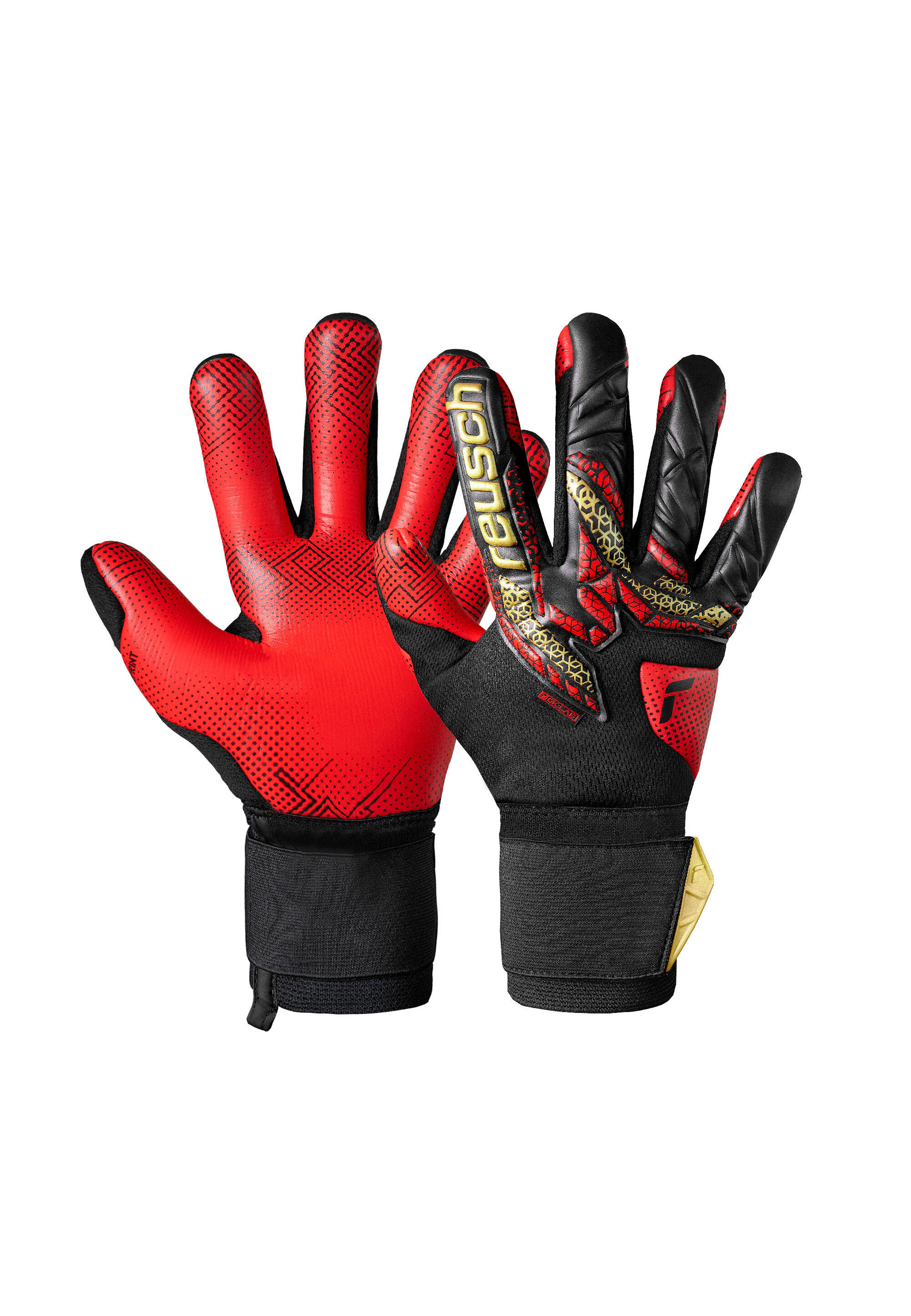 REUSCH picture