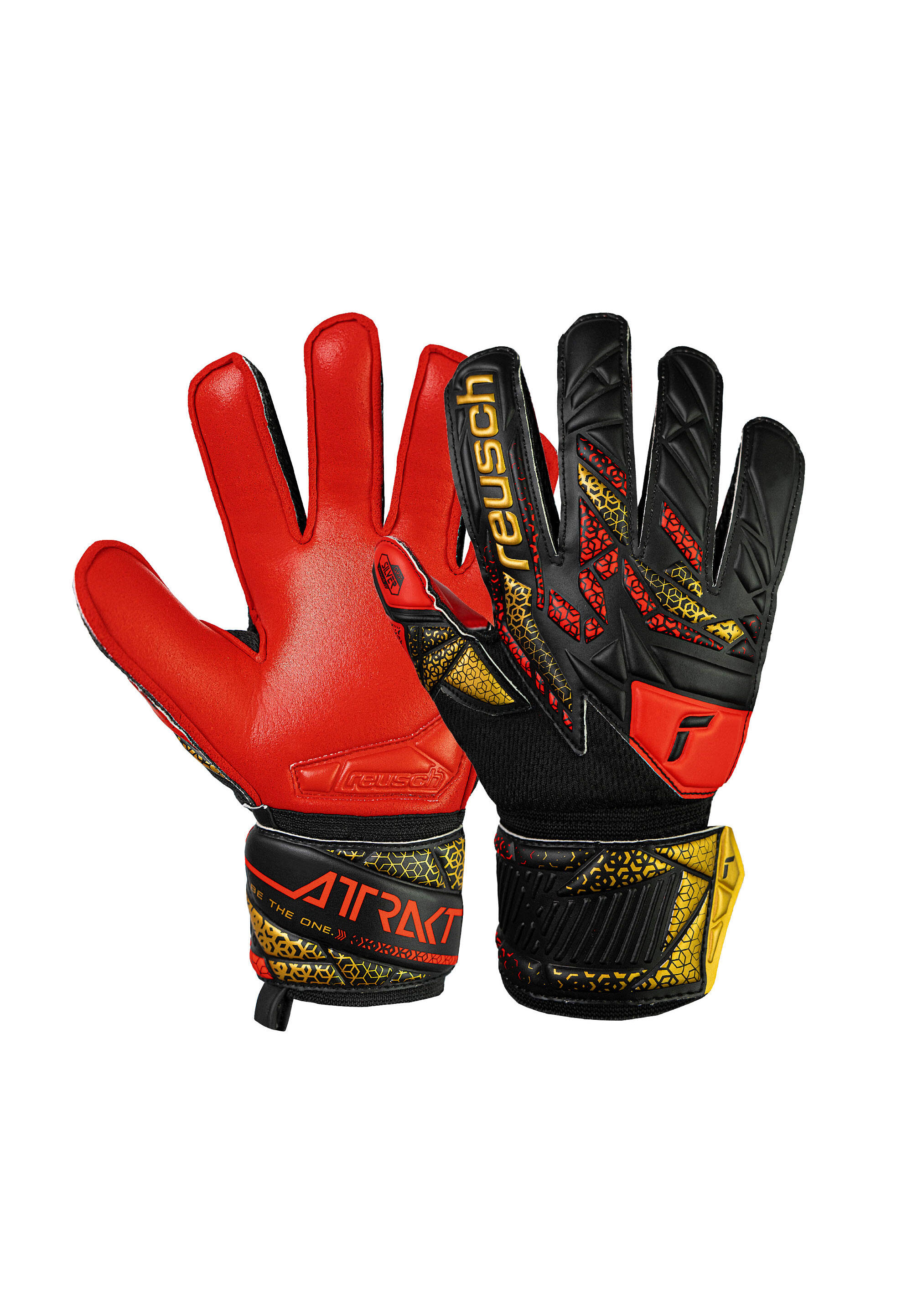 REUSCH picture
