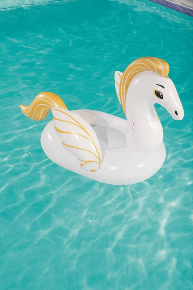 Gonfler le pegasus 159x109 cm 3/8