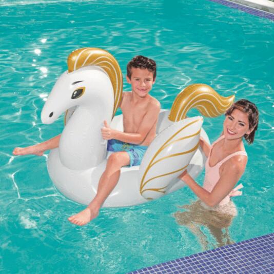 Gonfler le pegasus 159x109 cm 2/8