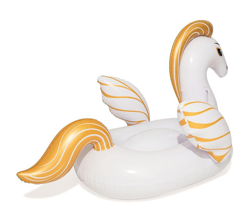 Gonfler le pegasus 159x109 cm 7/8