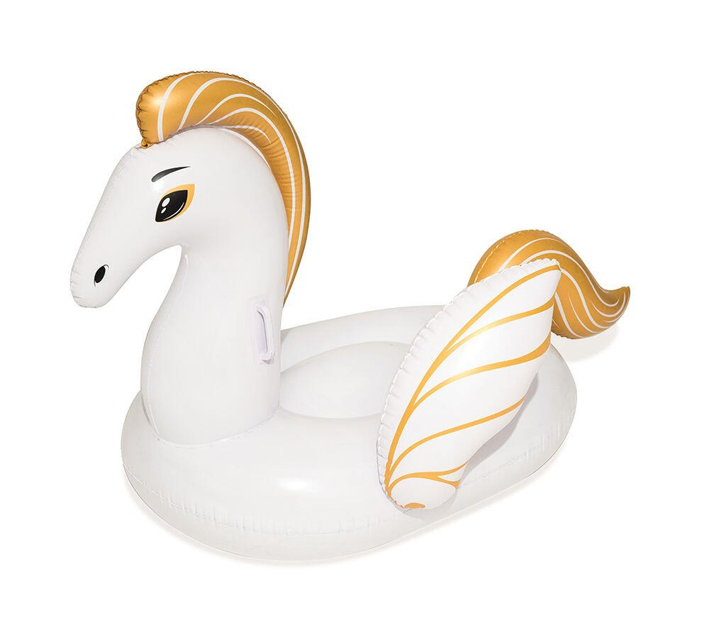 Gonfler le pegasus 159x109 cm 5/8