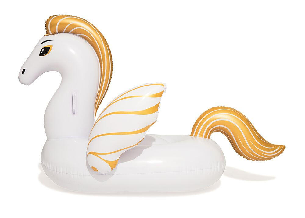 Gonfler le pegasus 159x109 cm 6/8