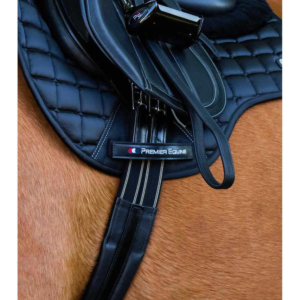 Cinghia in pelle per cavalli Premier Equine Rapone 2/4