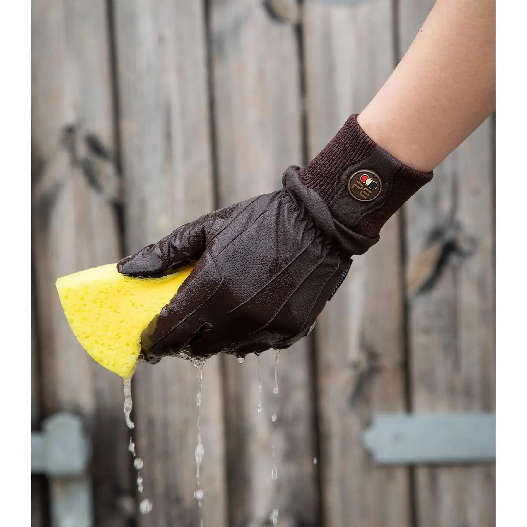 Waterdichte rijhandschoenen Premier Equine Dajour 2/4