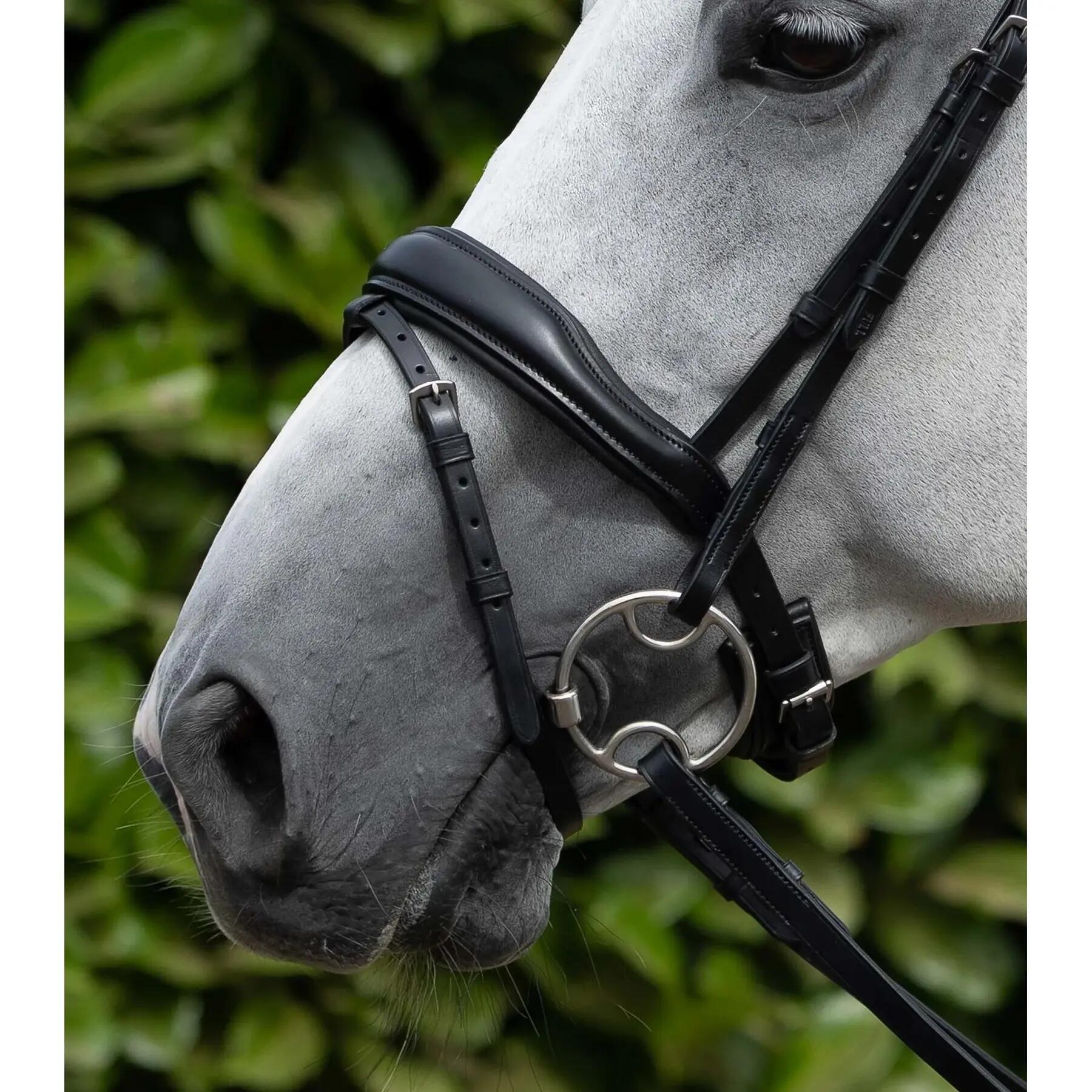 Muserolle anatomique combinée Premier Equine Rizzo 4/4