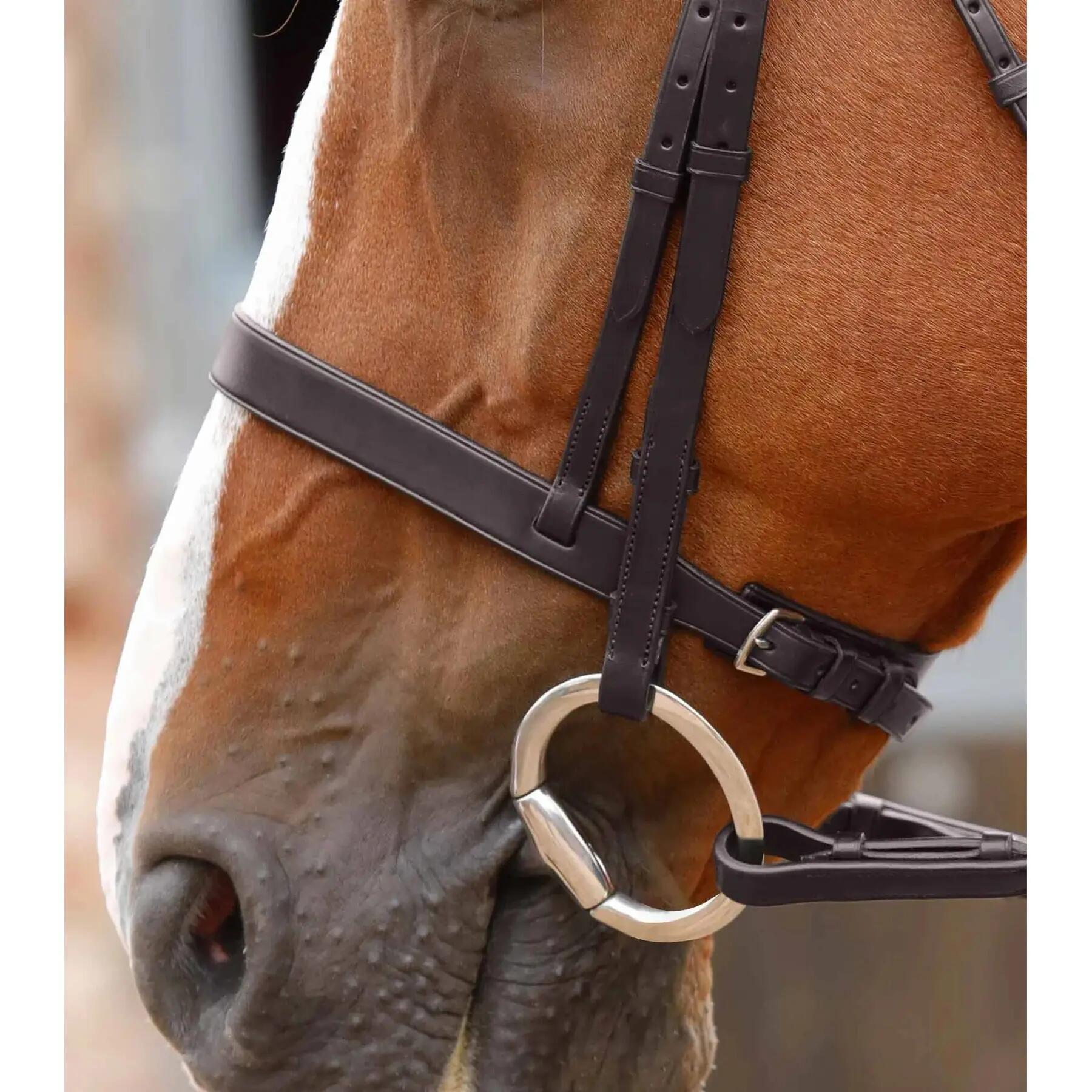 Olivenkopftrense Premier Equine 2/2