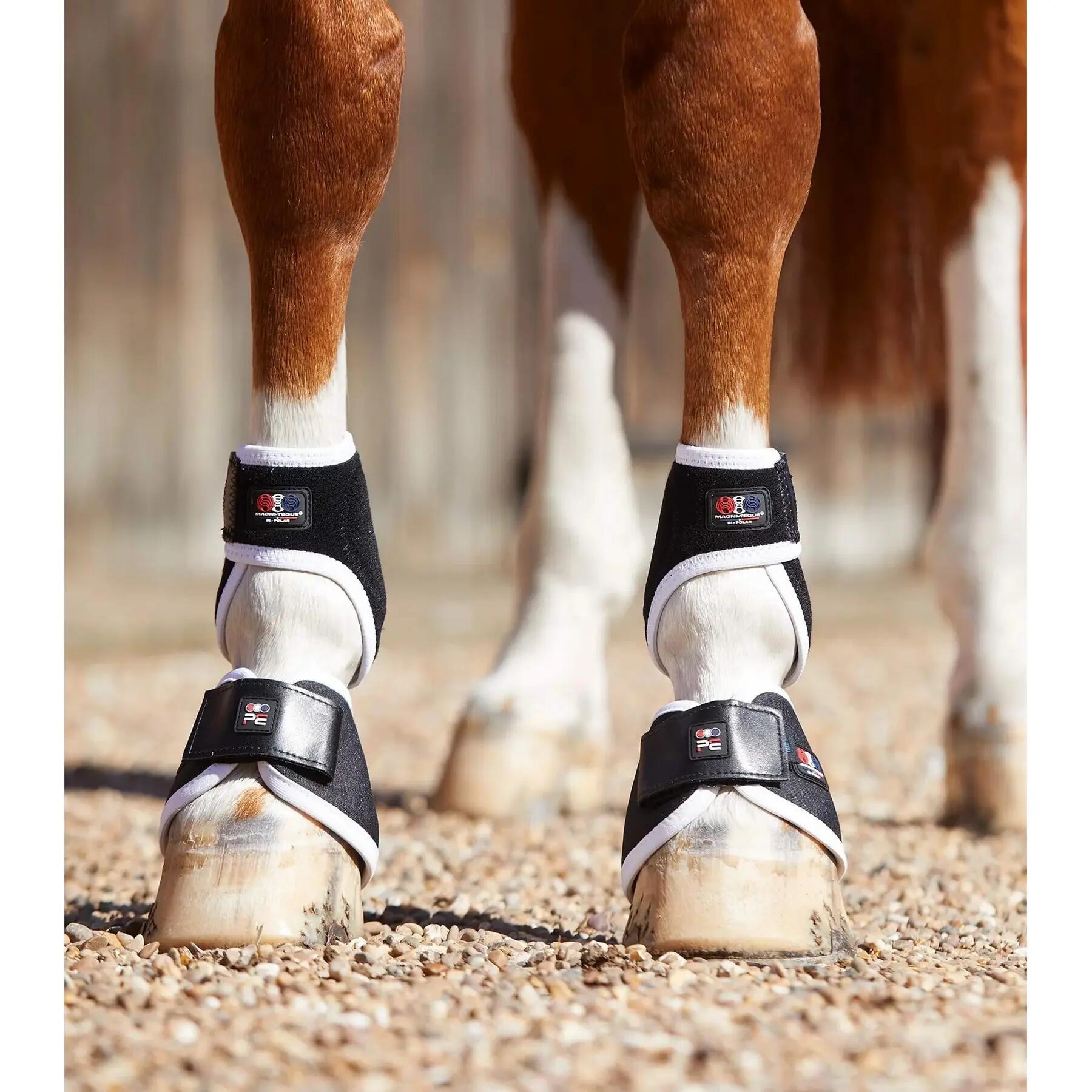 Magnetic horse bells Premier Equine Magni-Teque 2/5