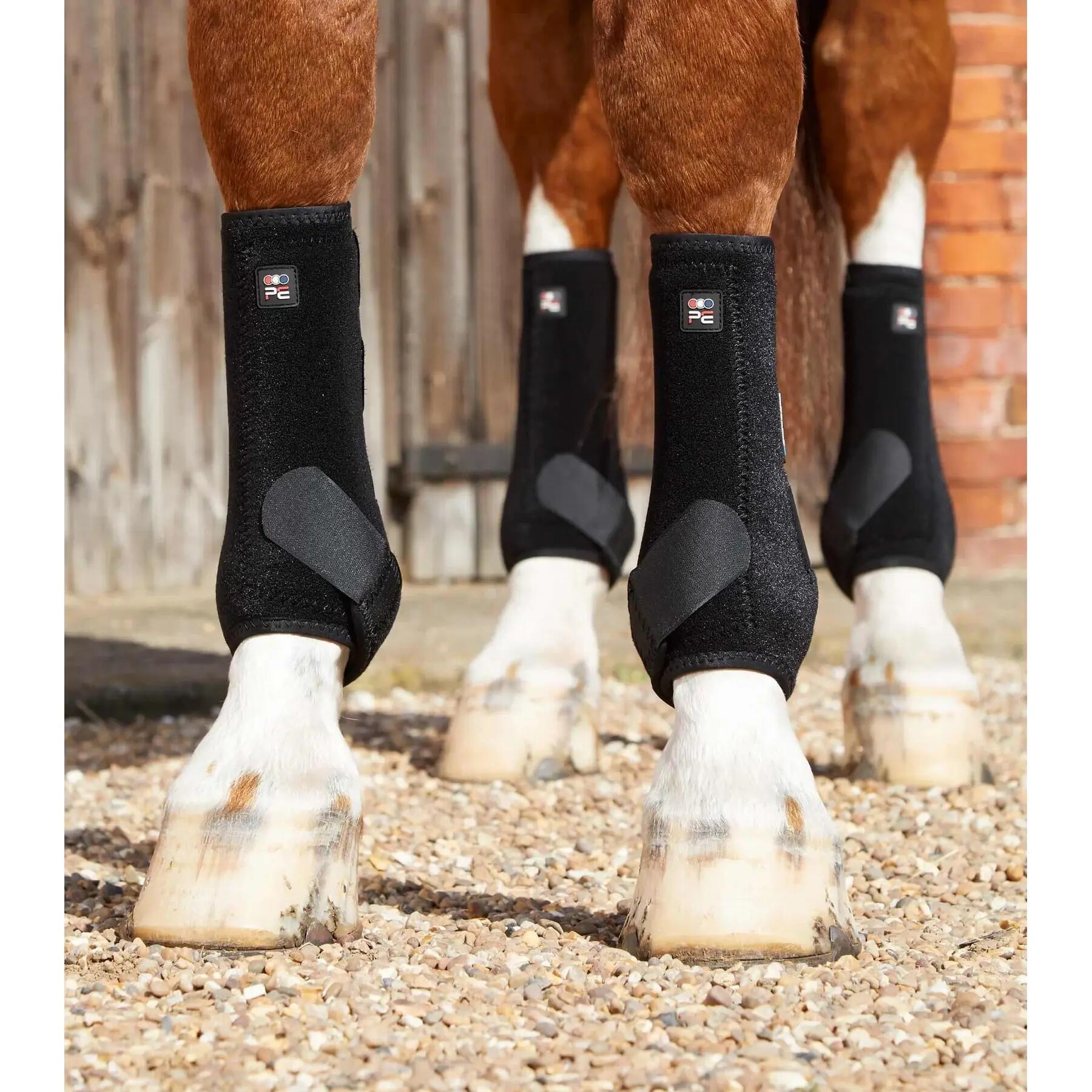 Horse gaiters Premier Equine Air-Tech Sports Medecine 2/4