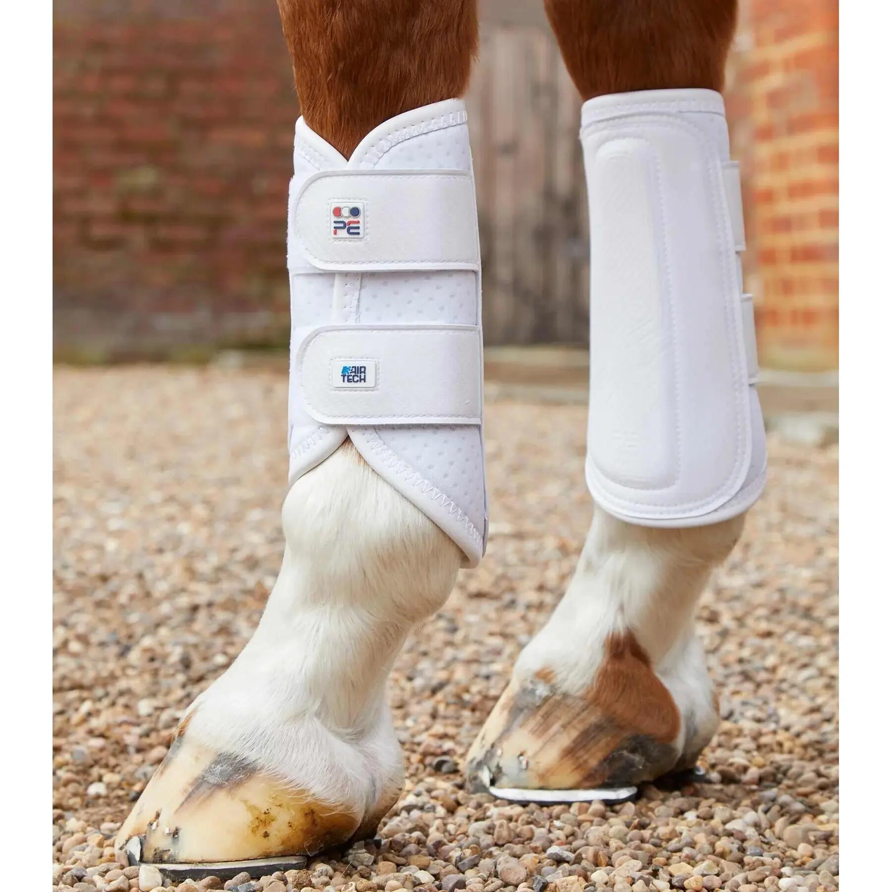 PREMIER EQUINE picture