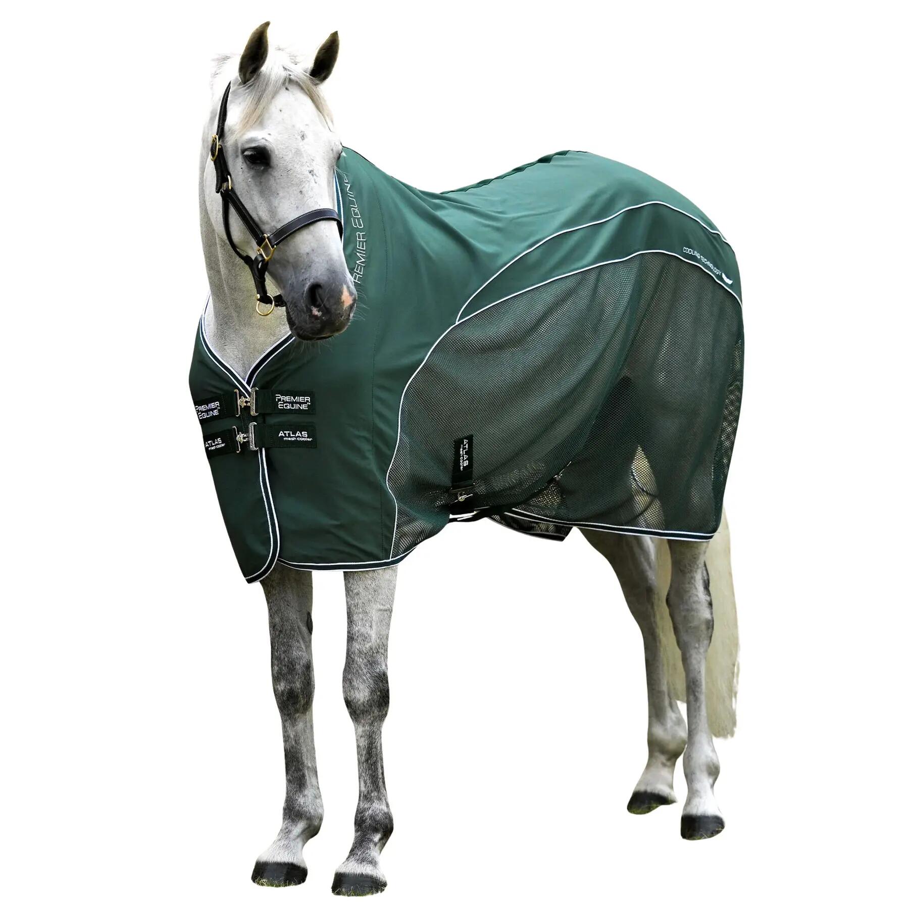 PREMIER EQUINE picture