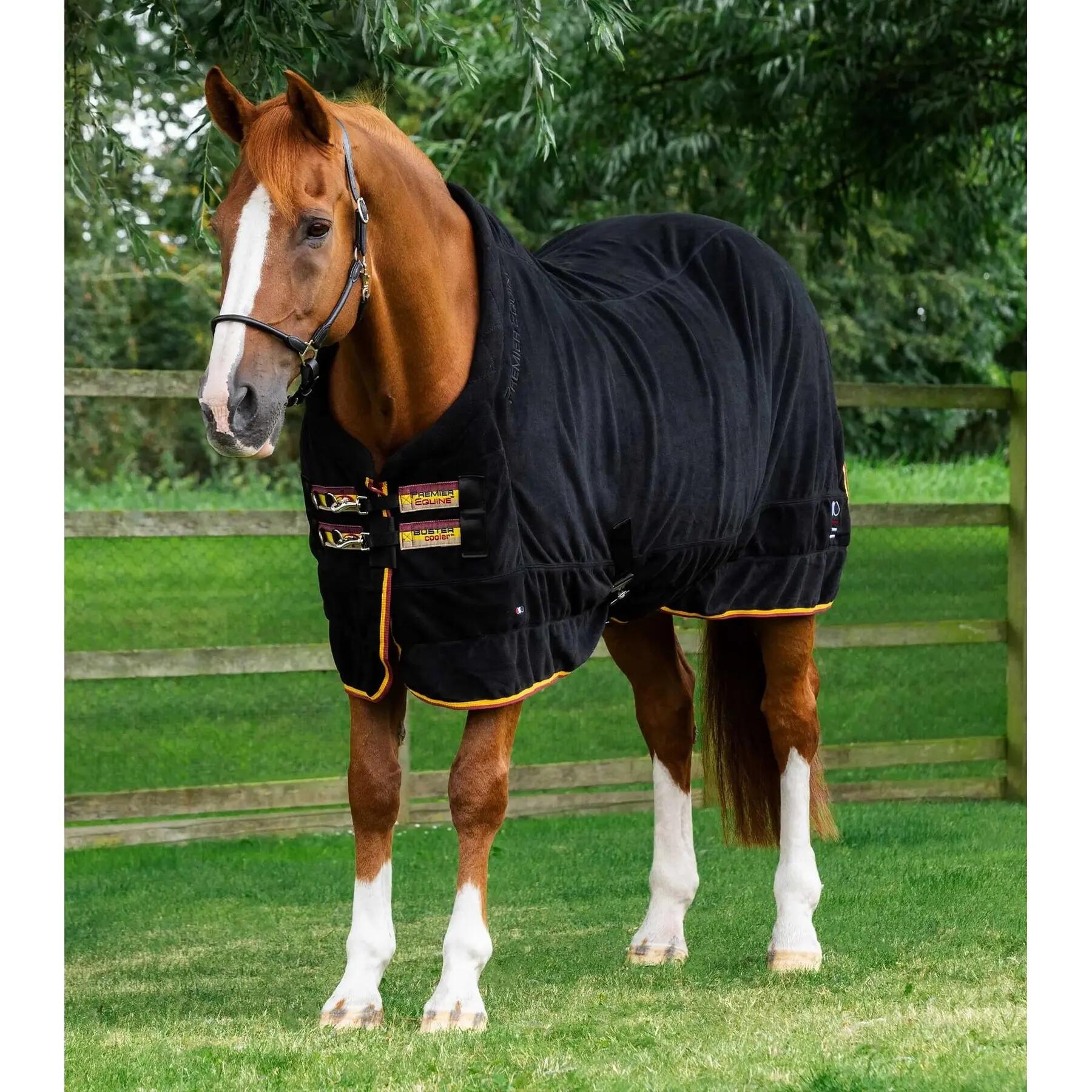 Couverture polaire séchante pour cheval Premier Equine Buster Continental 280g 1/5