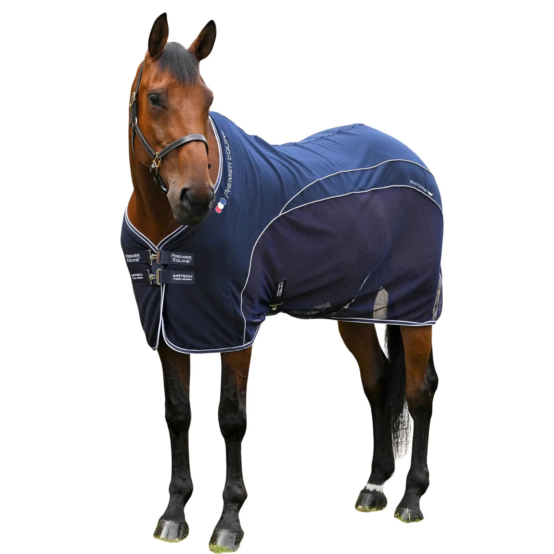 PREMIER EQUINE picture