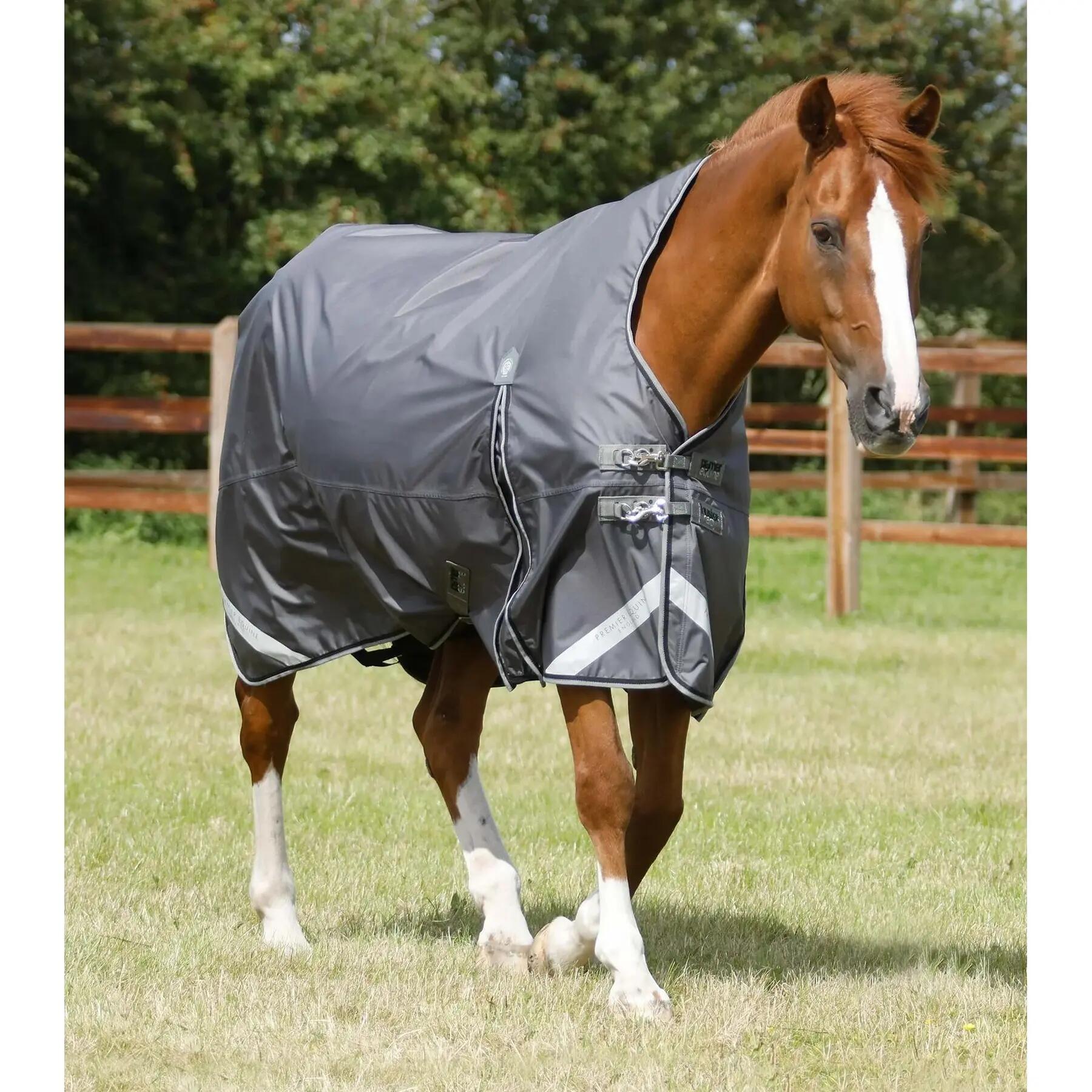 PREMIER EQUINE picture