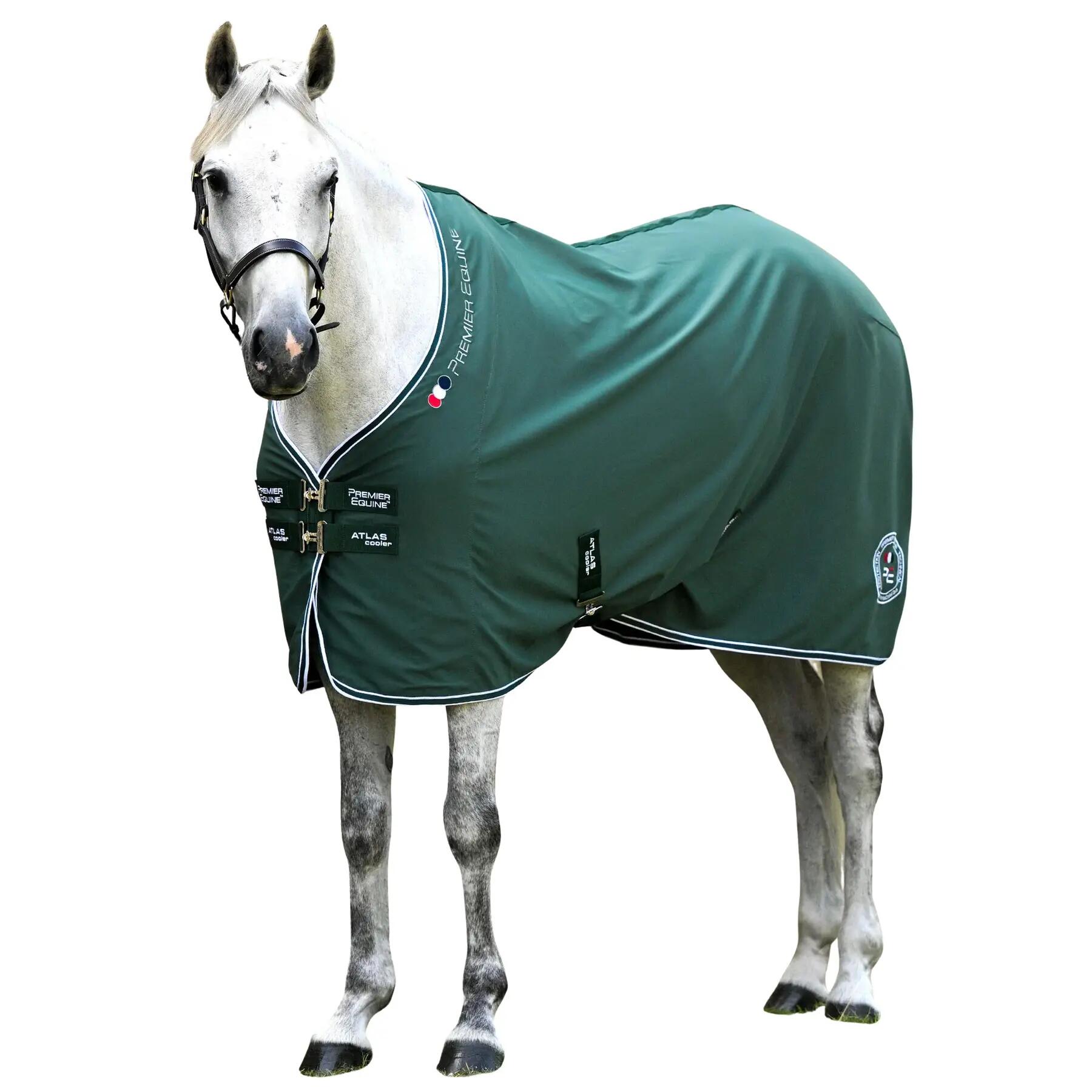 PREMIER EQUINE picture