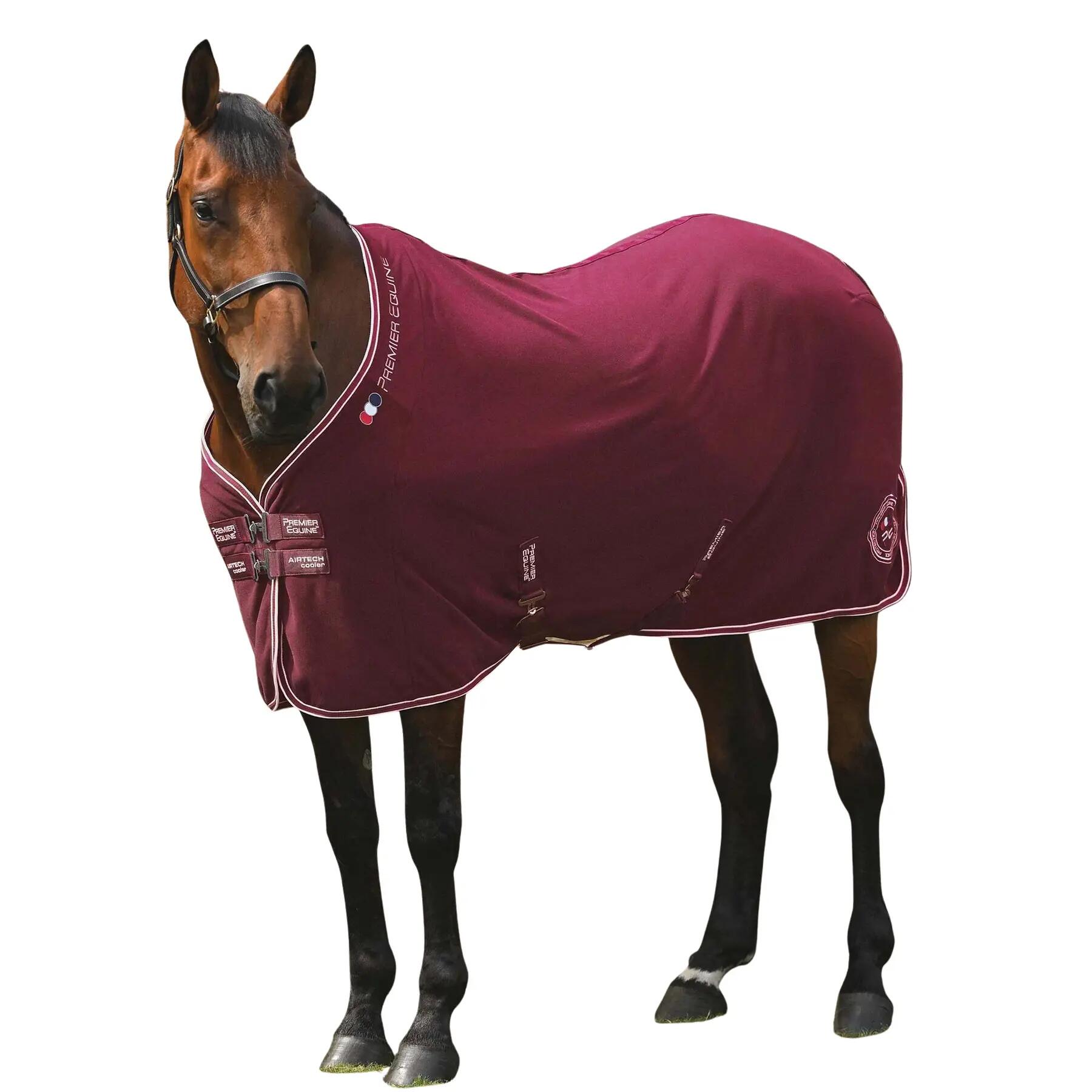 PREMIER EQUINE picture
