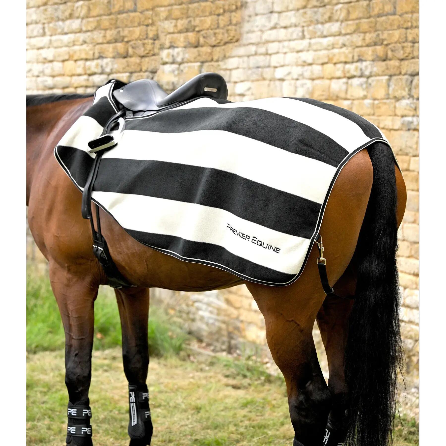 PREMIER EQUINE picture