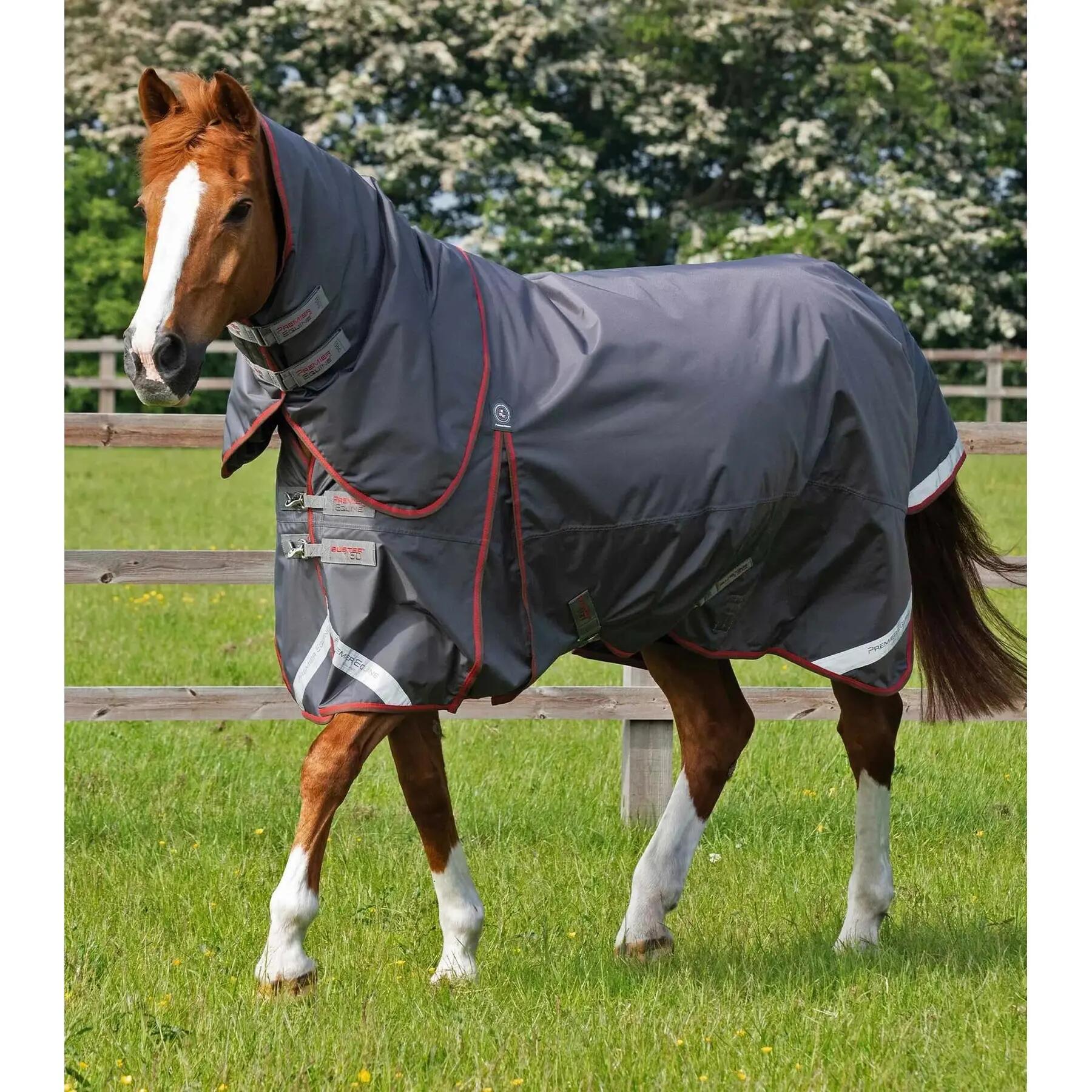 PREMIER EQUINE picture