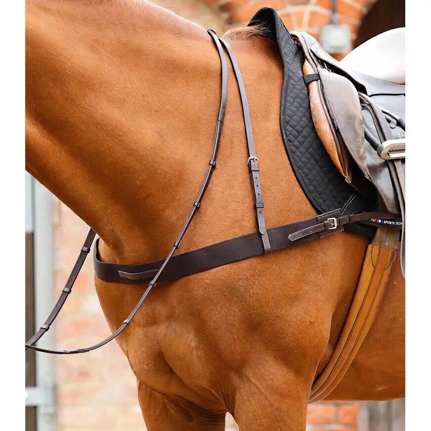 Sangle de poitrail élastique pour cheval Premier Equine Zimella 3/5