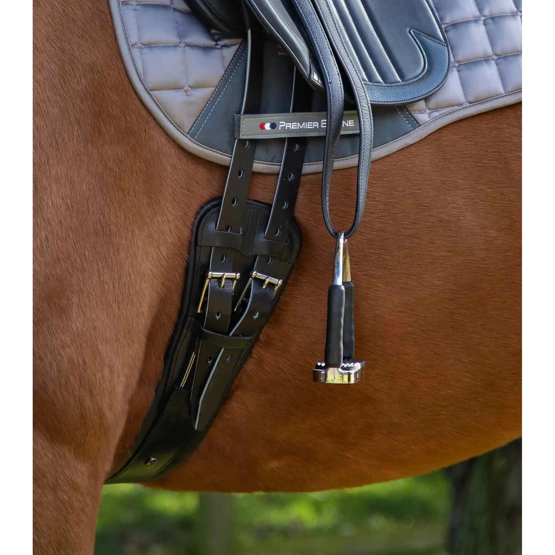 Sangle pour cheval cuir Premier Equine Davoli 3/4