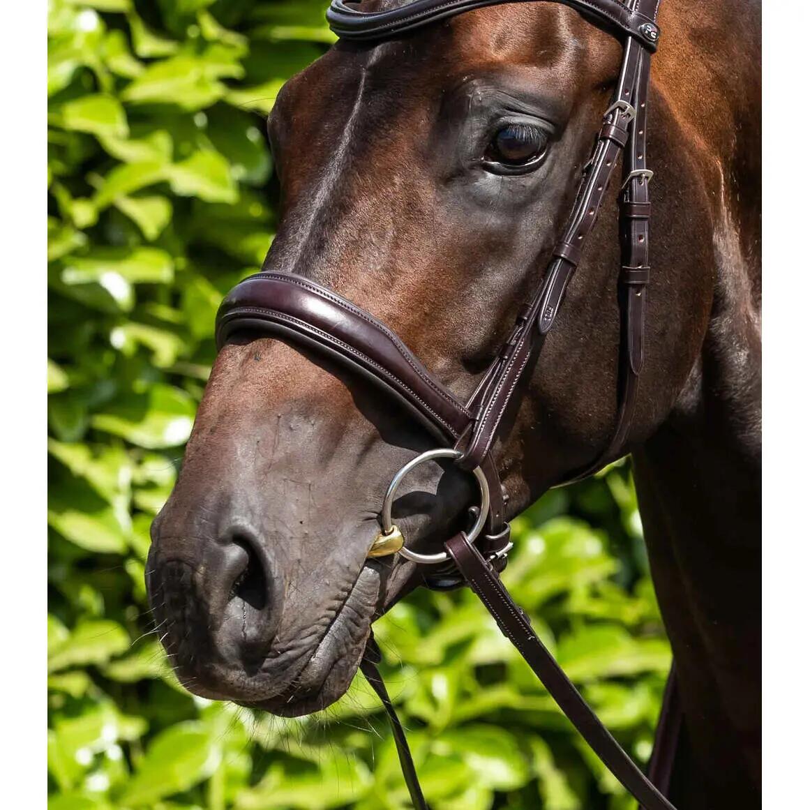 Bocado de latón para caballos Premier Equine 2/2