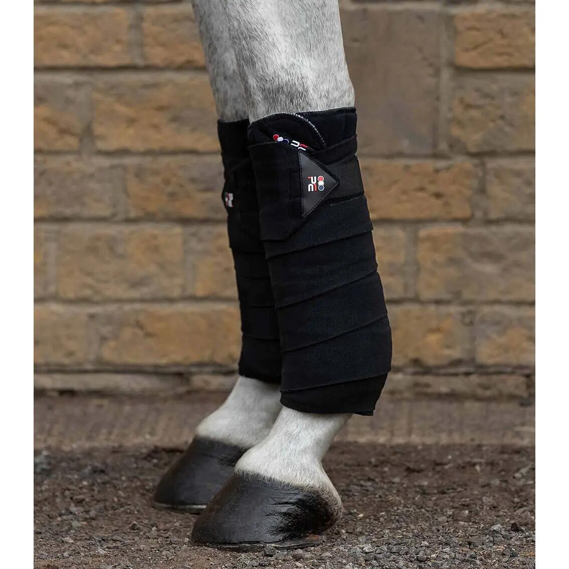 Lot de 4 bandes de polo pour cheval Premier Equine 3/4