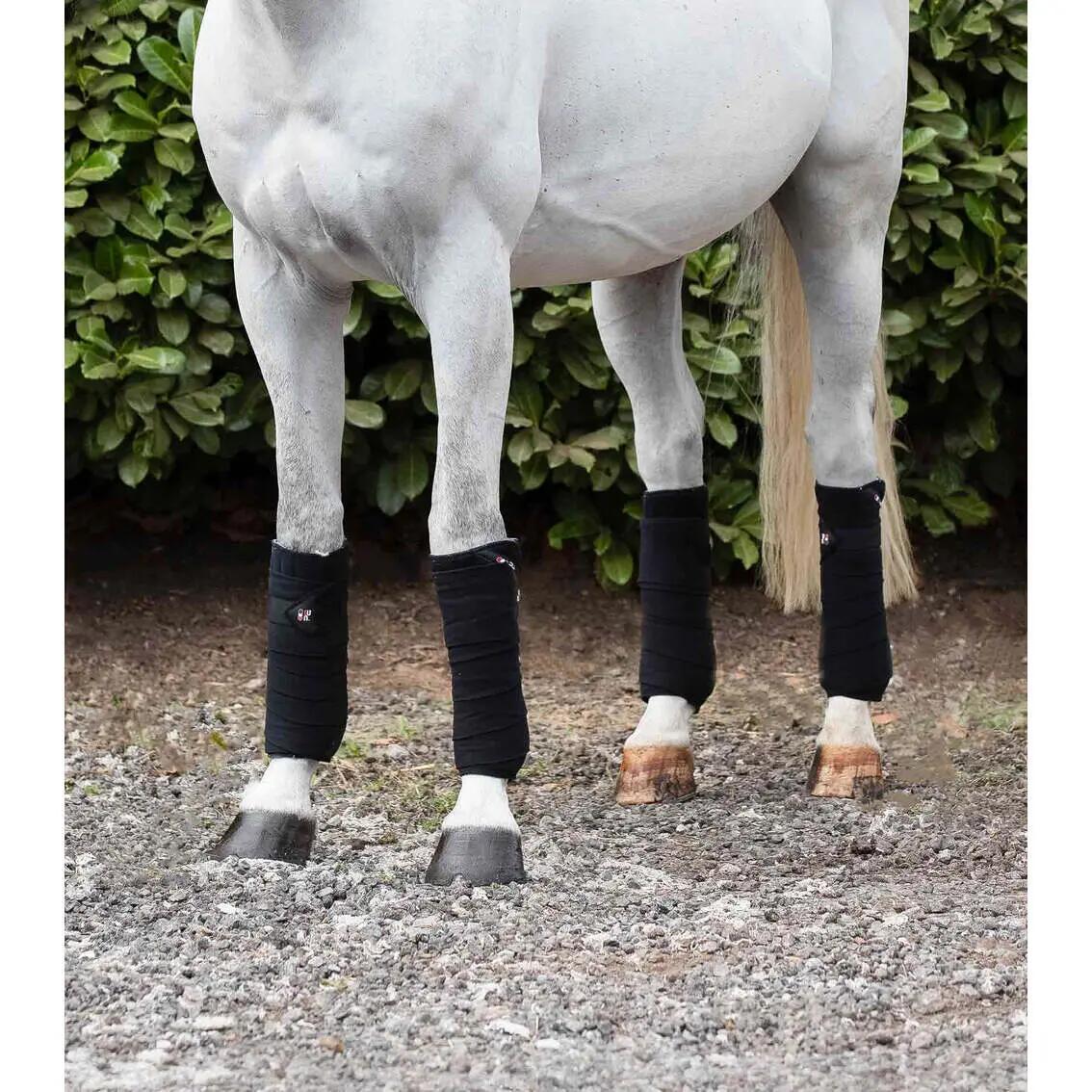 Lot de 4 bandes de polo pour cheval Premier Equine 2/4