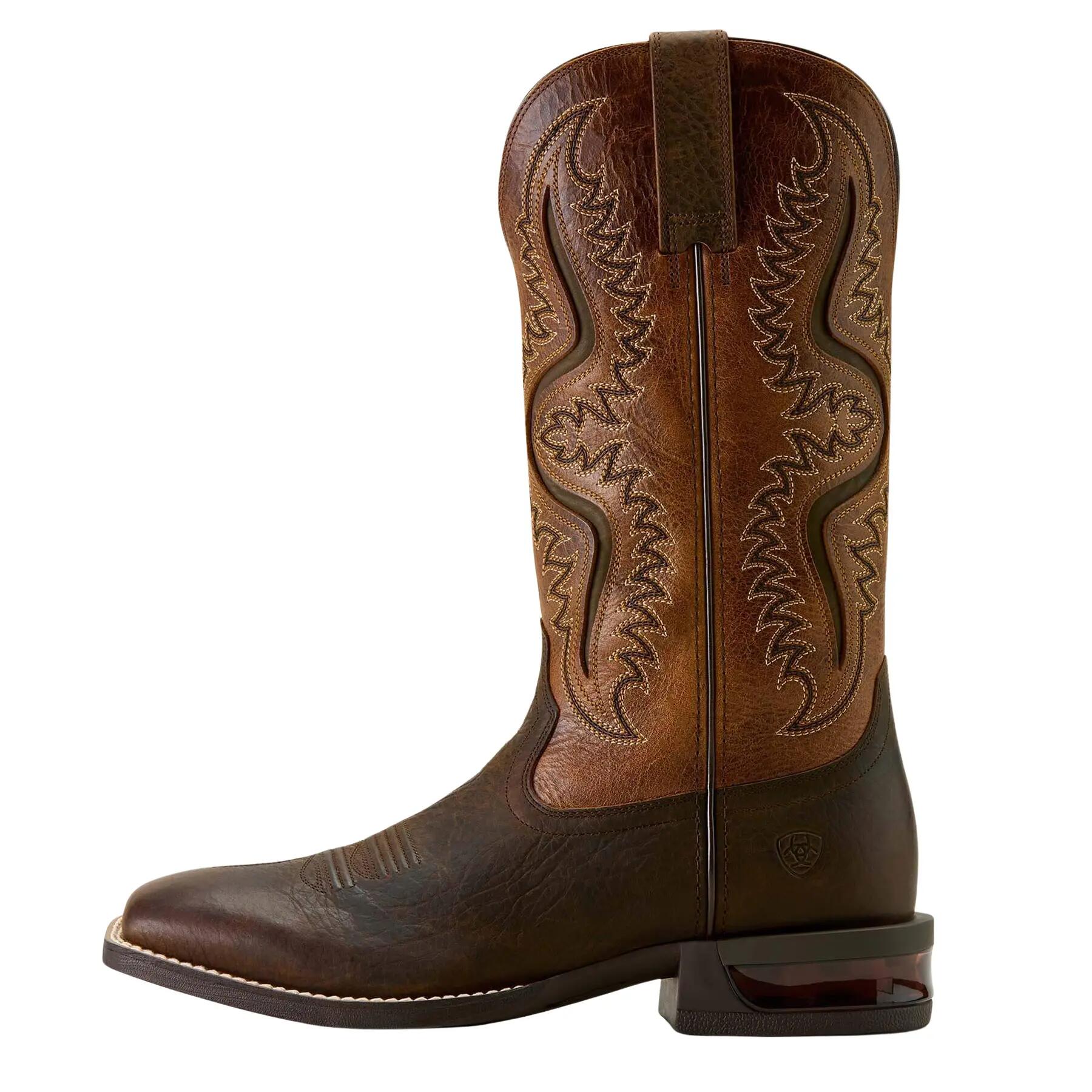 ARIAT picture