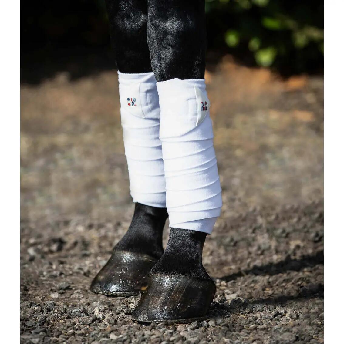 Lot de 4 bandes de polo pour cheval Premier Equine 3/4