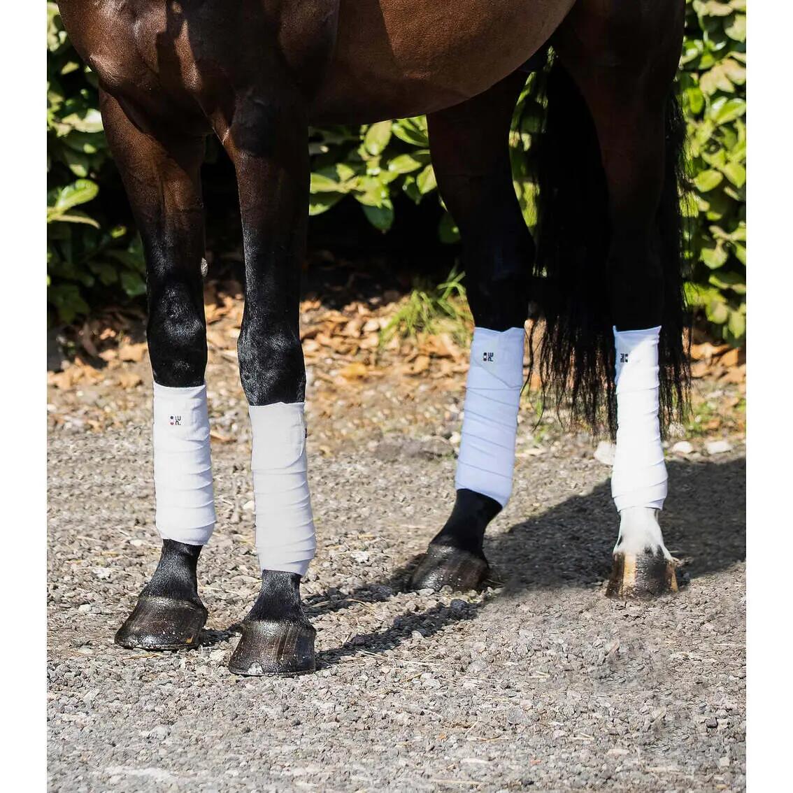 Lot de 4 bandes de polo pour cheval Premier Equine 2/4