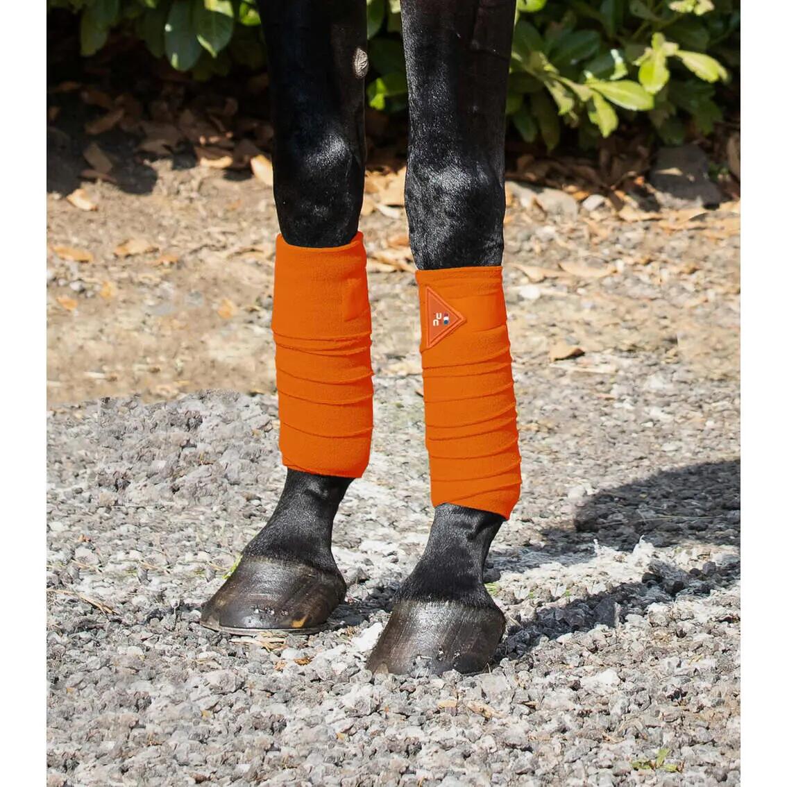 Lot de 4 bandes de polo pour cheval Premier Equine 2/4