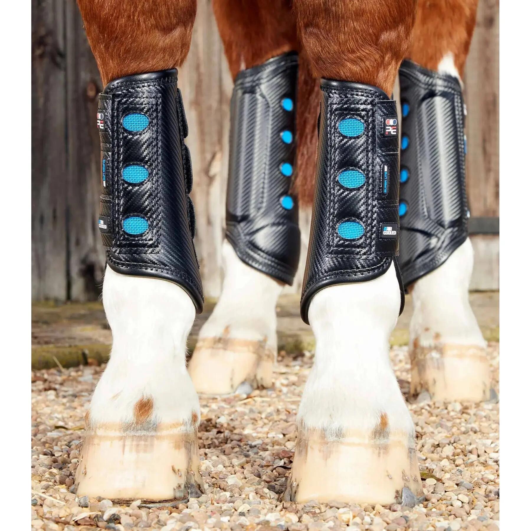 PREMIER EQUINE picture