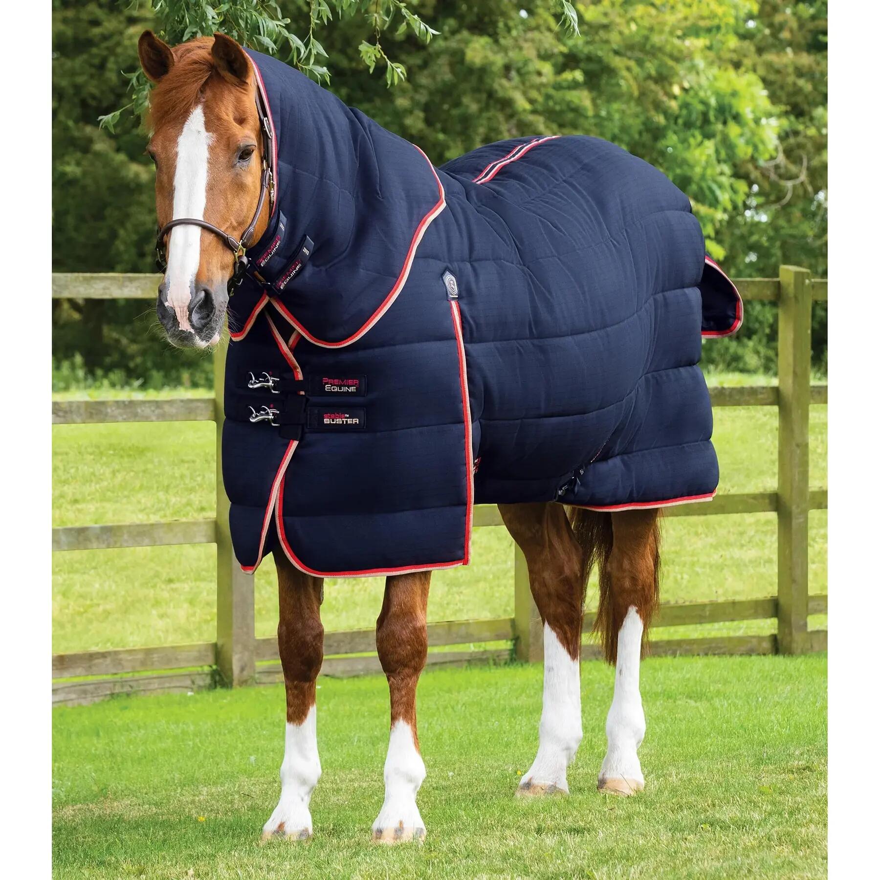 PREMIER EQUINE picture