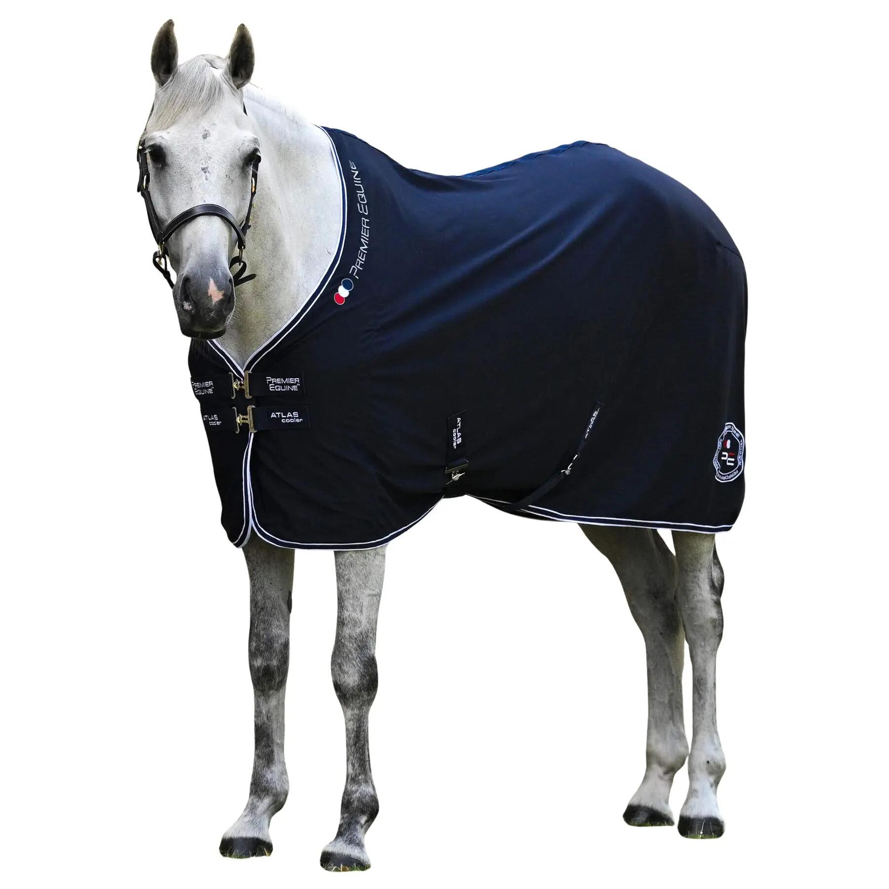 PREMIER EQUINE picture