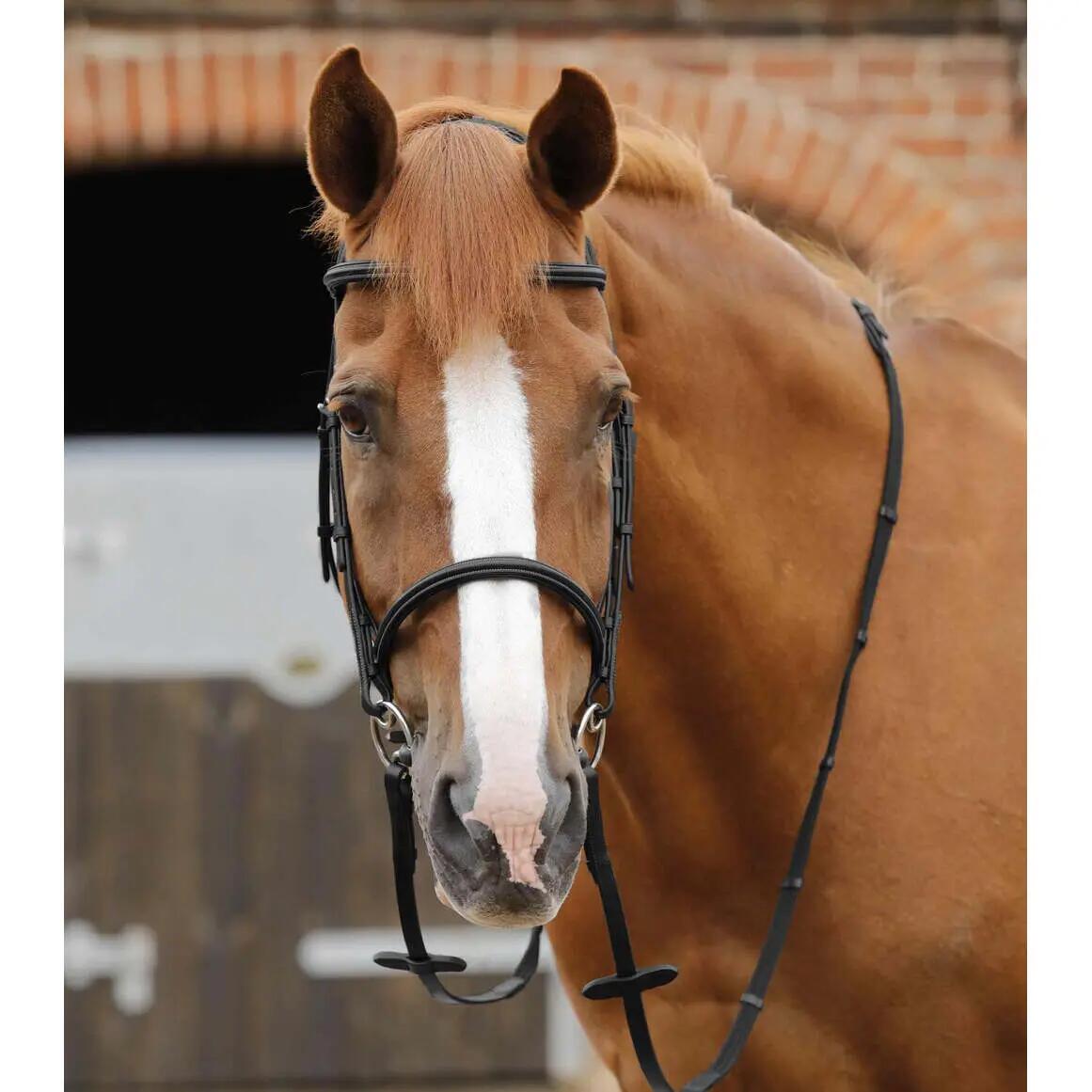 Redini per cavalli Premier Equine Caloveto 2/6
