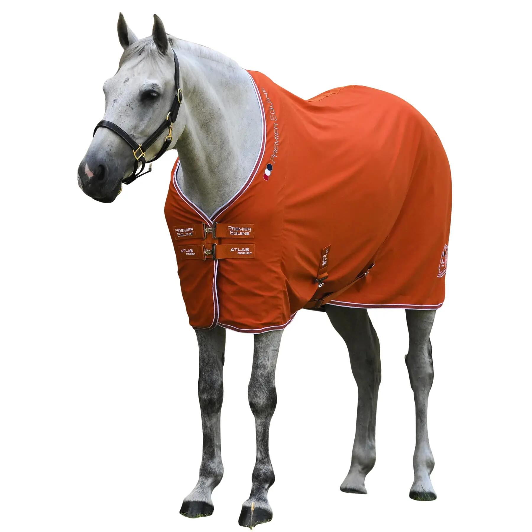 PREMIER EQUINE picture