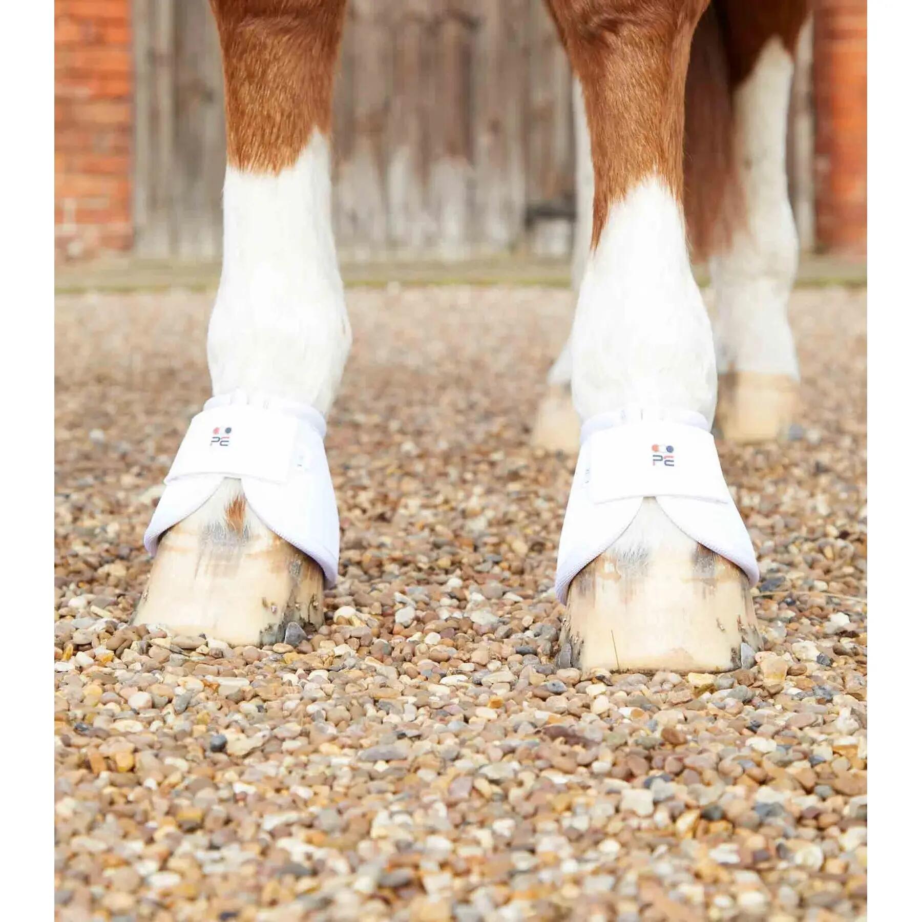 Pferdeglocken gegen Umfallen Premier Equine Ballistic 3/5
