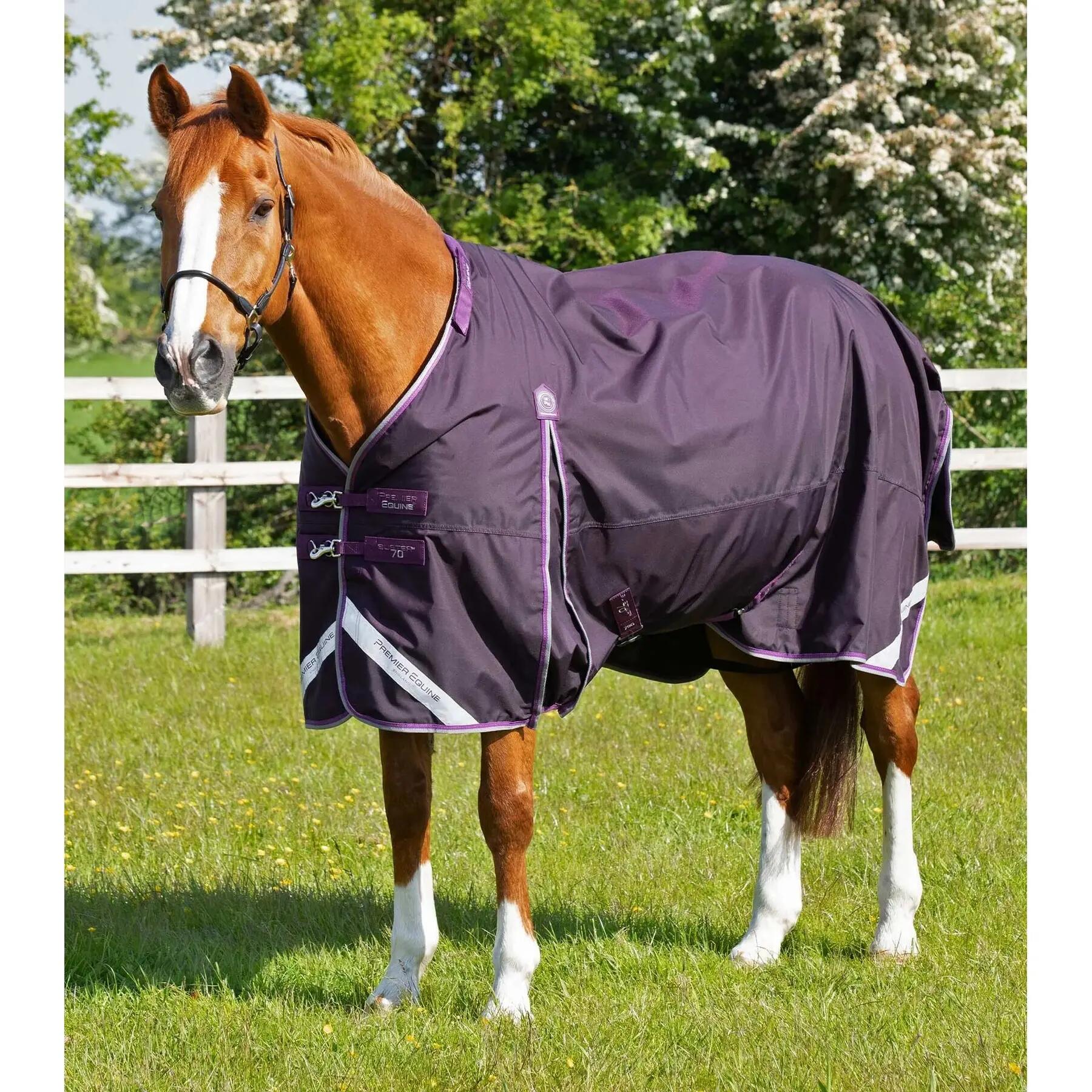 PREMIER EQUINE picture