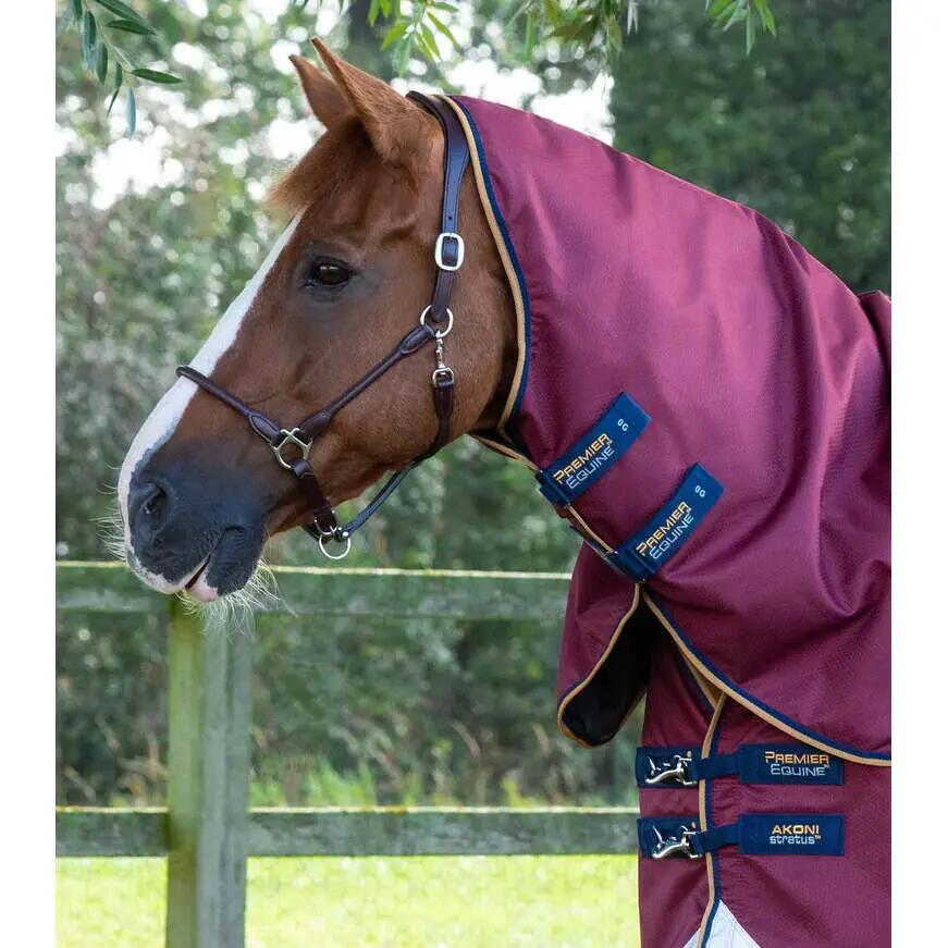 Couverture d'extérieur pour cheval avec couvre-cou Premier Equine Akoni Stratus 2/5