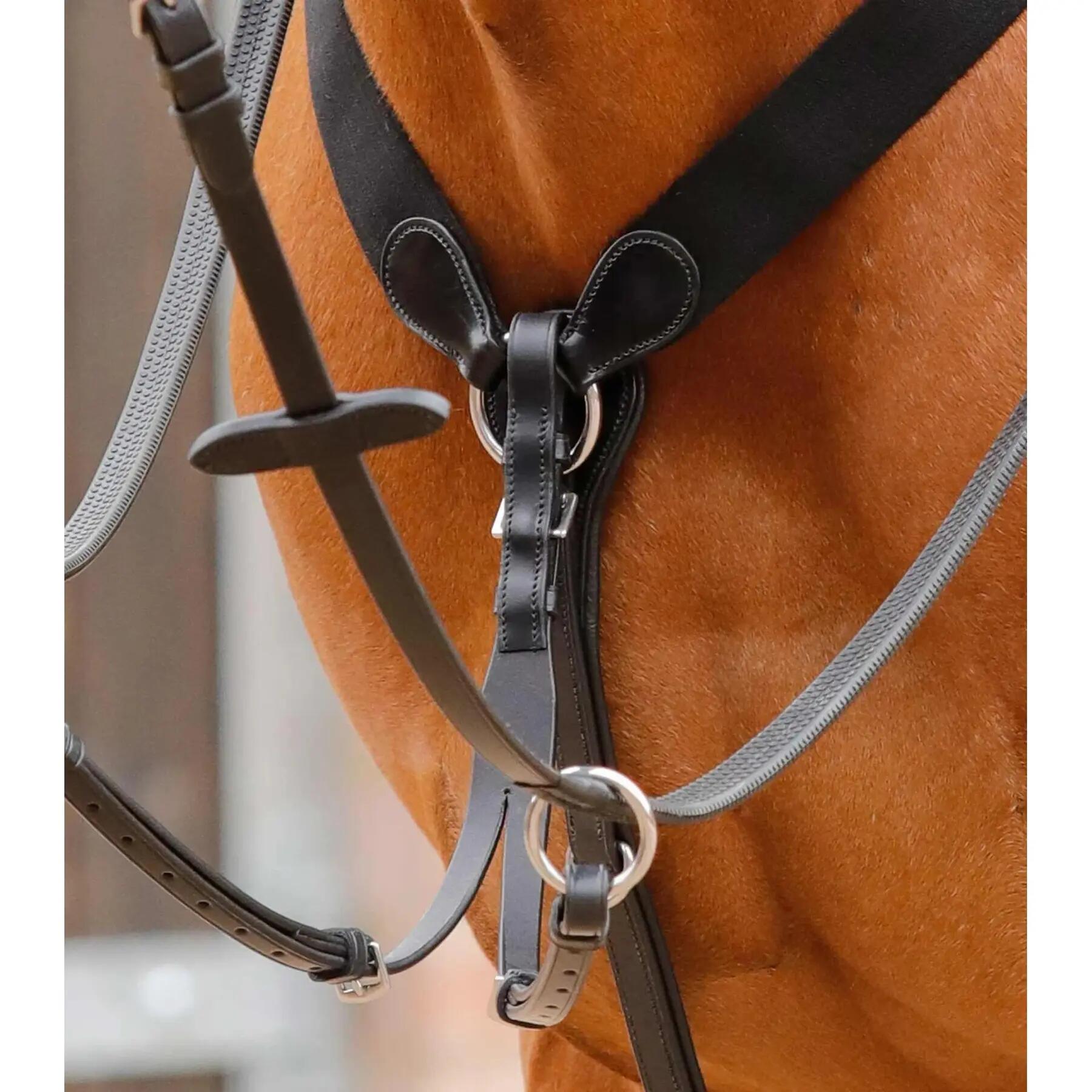 Martingala per cavalli Premier Equine Baressa 2/5