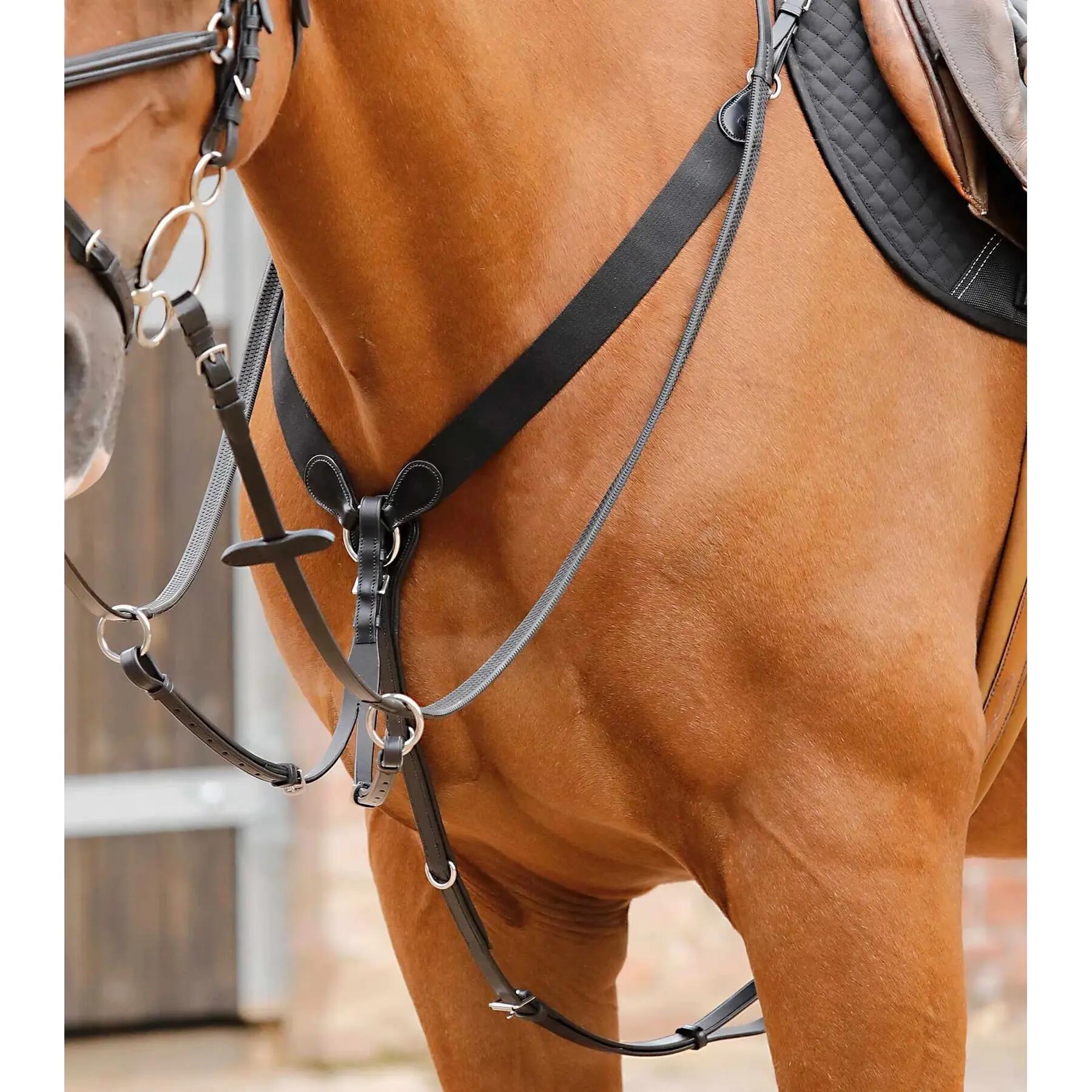 Martingala per cavalli Premier Equine Baressa 4/5