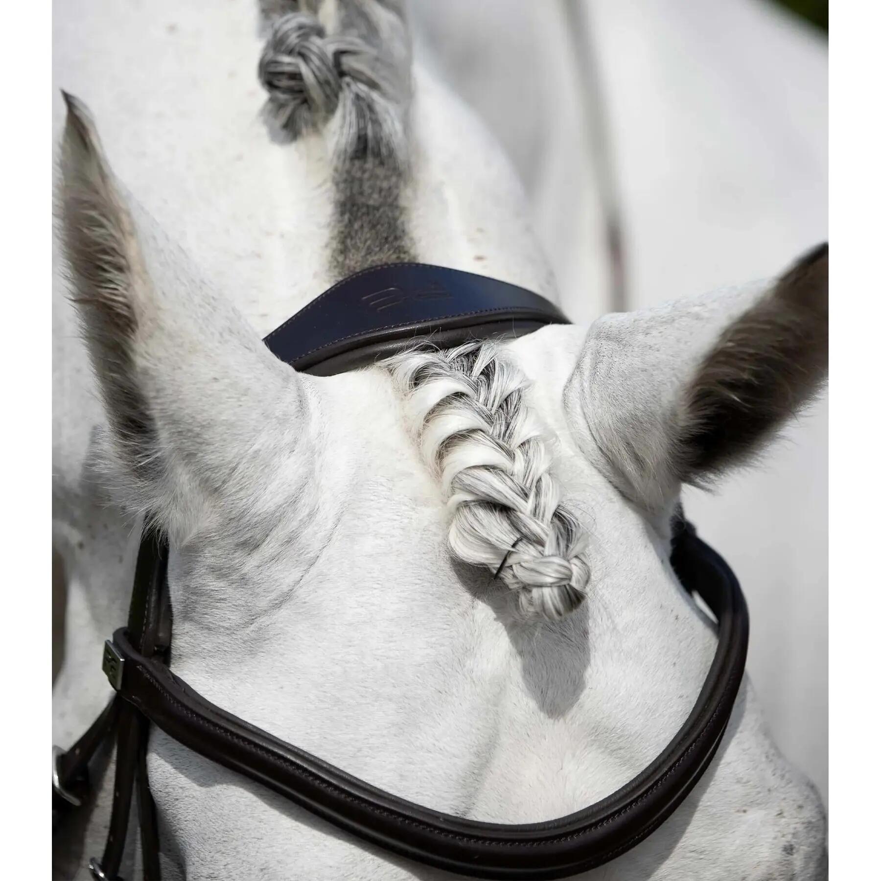 Briglia anatomica con cavezza da equitazione combinata all'inglese Premier Equin 3/4
