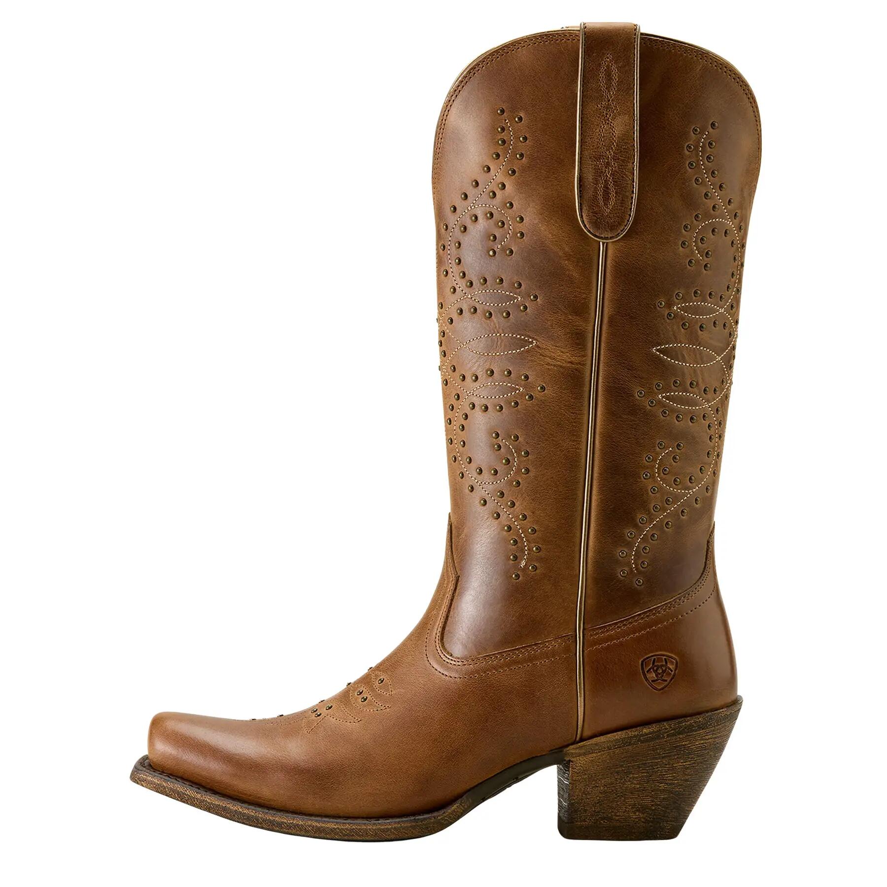 ARIAT picture