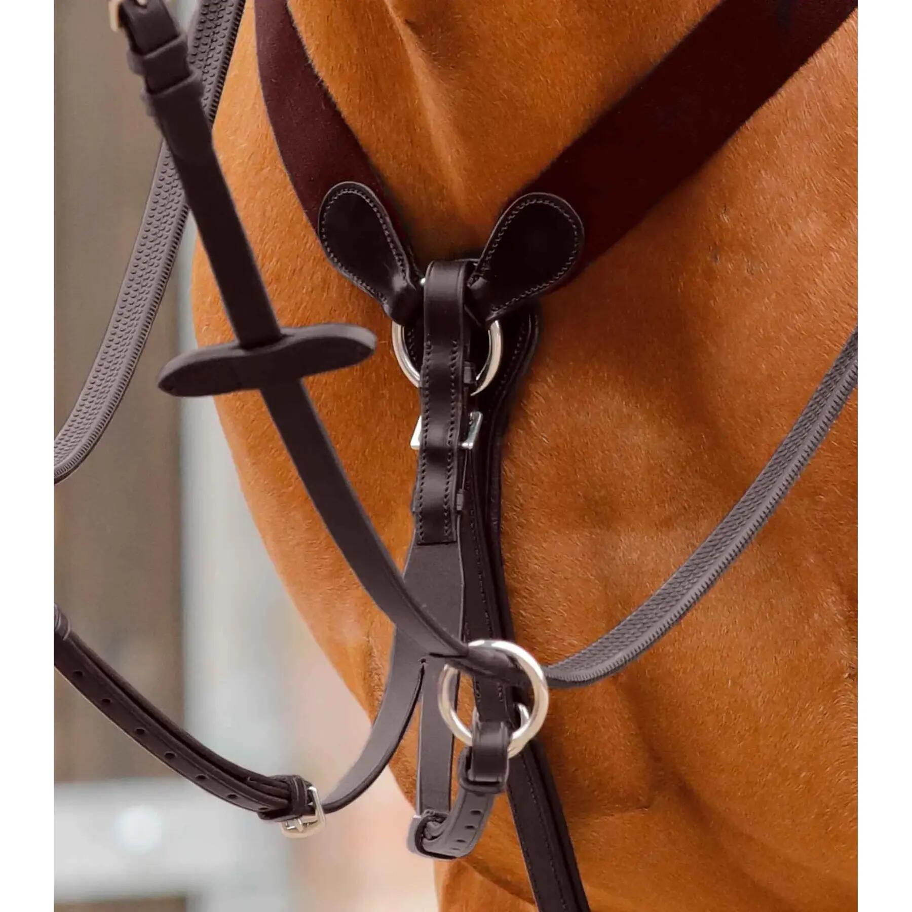 Martingala per cavalli Premier Equine Baressa 2/5