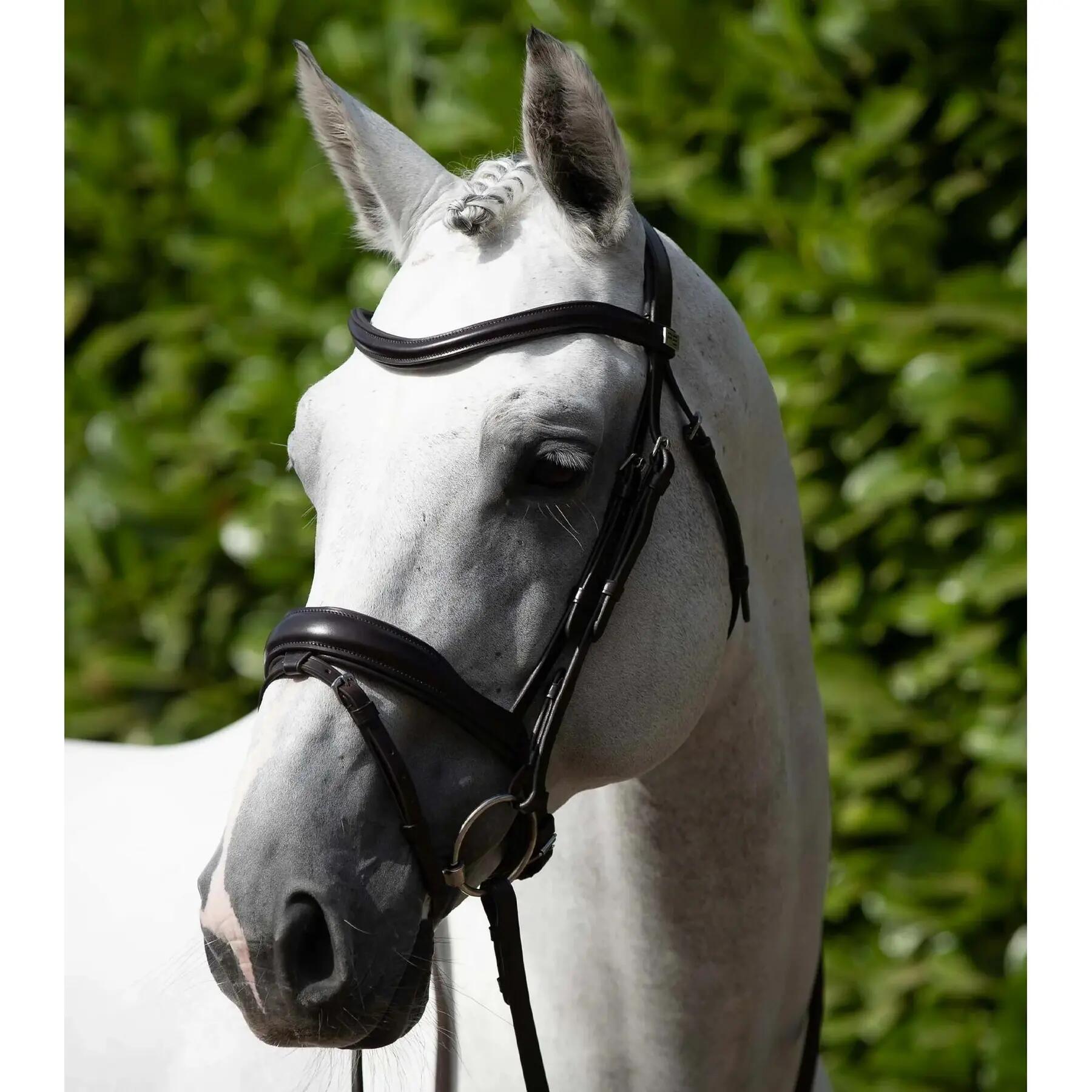 Briglia anatomica con cavezza da equitazione combinata all'inglese Premier Equin 2/4